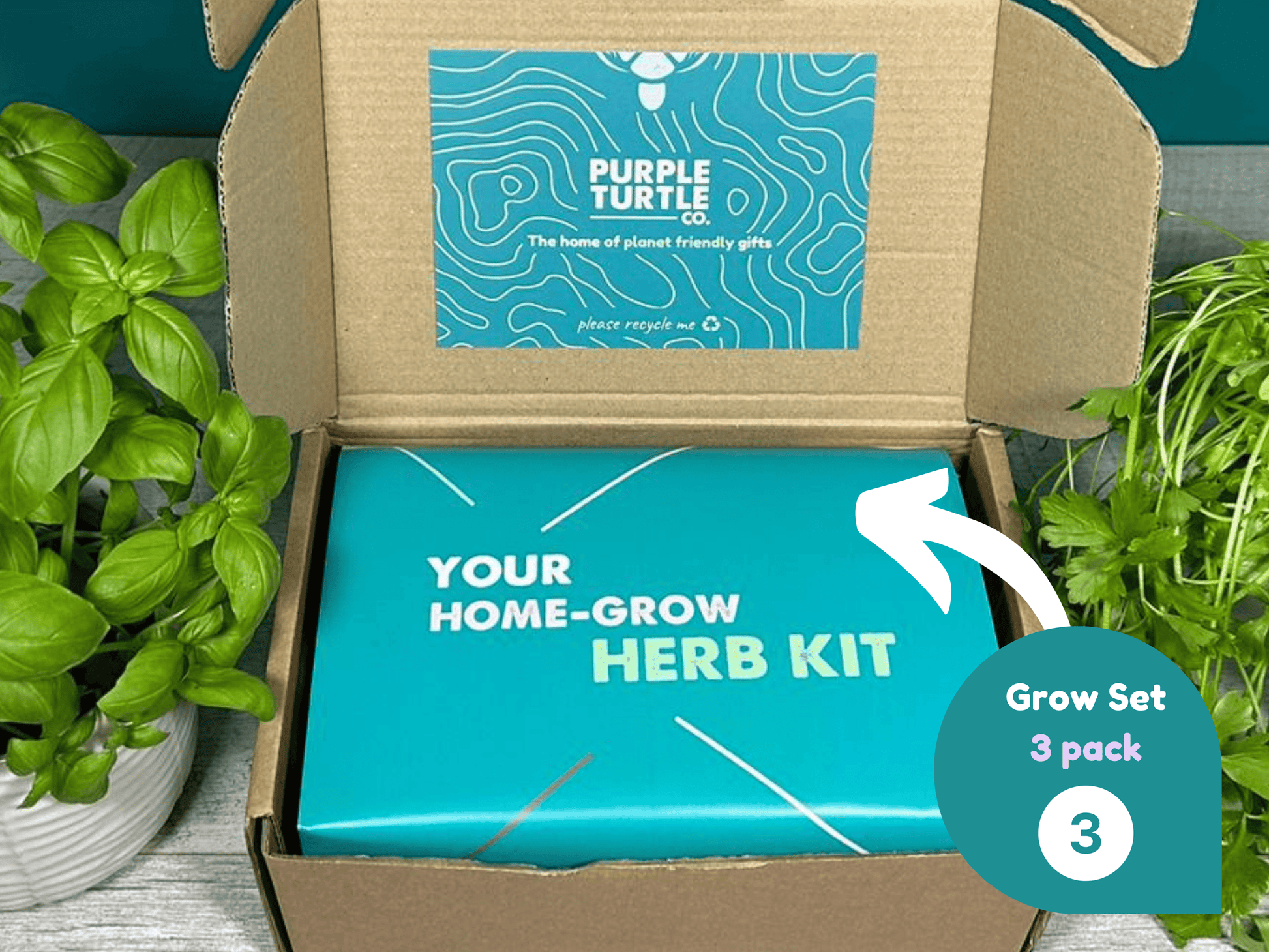 Grow Your Own Herbs Gift Set - REGN