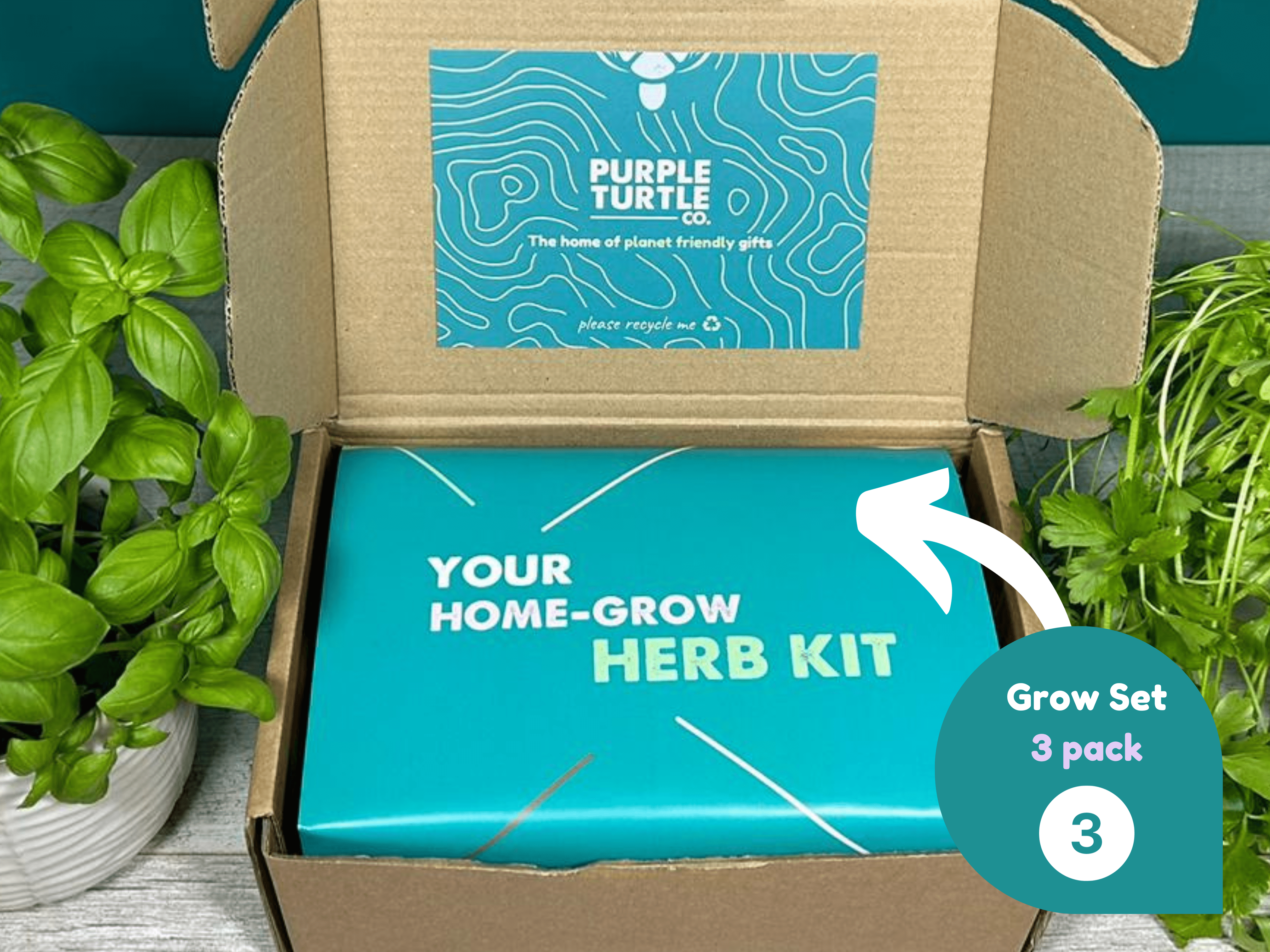 Grow Your Own Herbs Gift Set - REGN