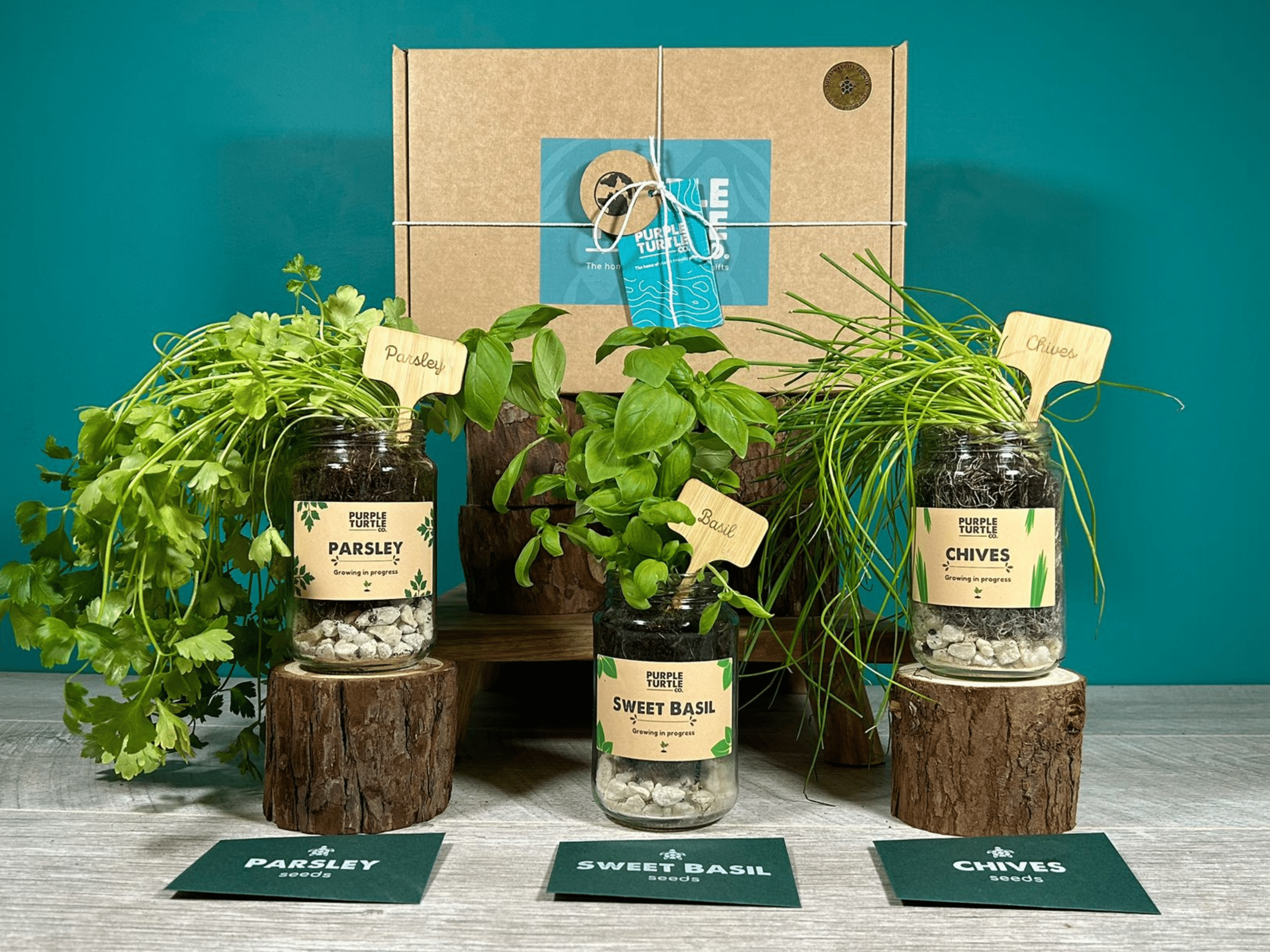 Grow Your Own Herbs Gift Set - REGN