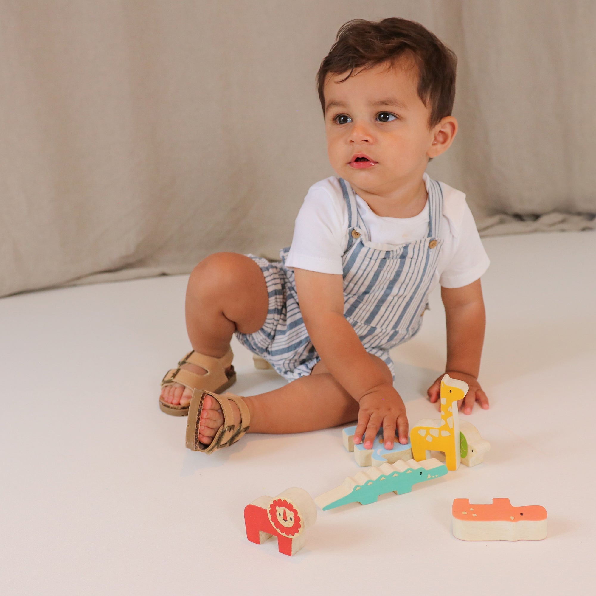 Happy Stacking Safari - REGN