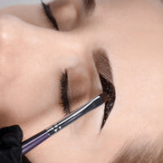 Henna Brow Design and Colour Course Editable Training Manual - REGN