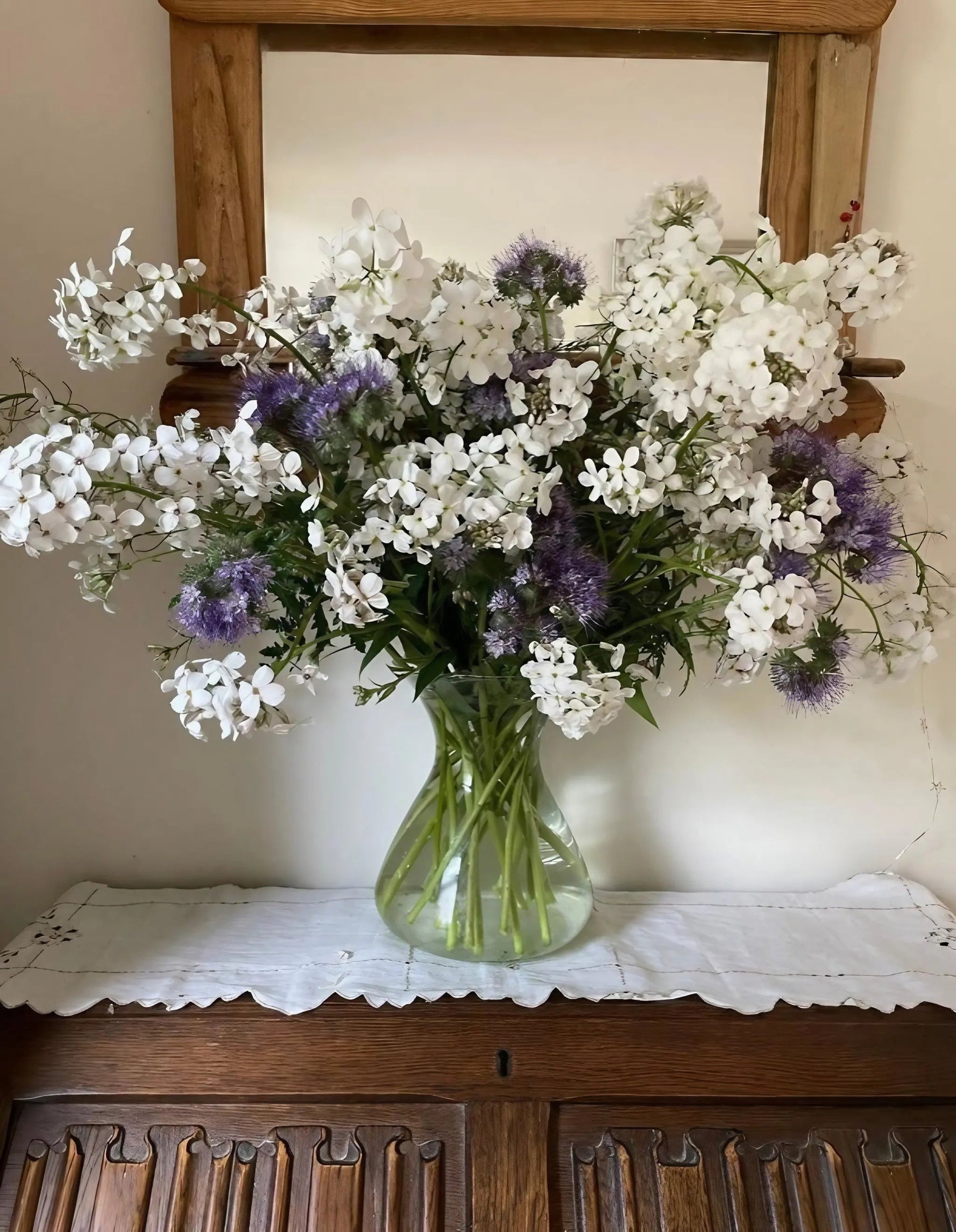 Hesperis White (Sweet Rocket) - REGN