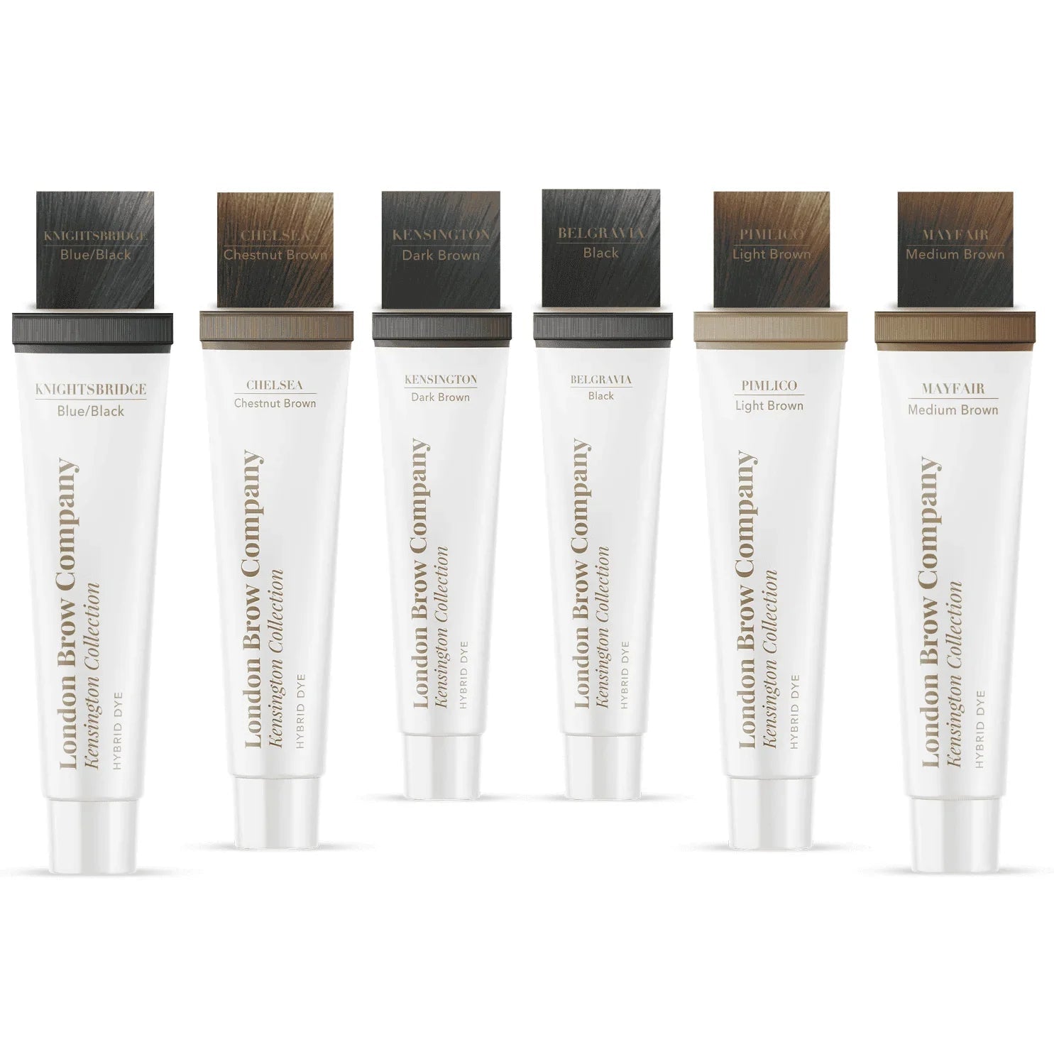 Hybrid Brow Dye Full Collection (6 Shades) - REGN