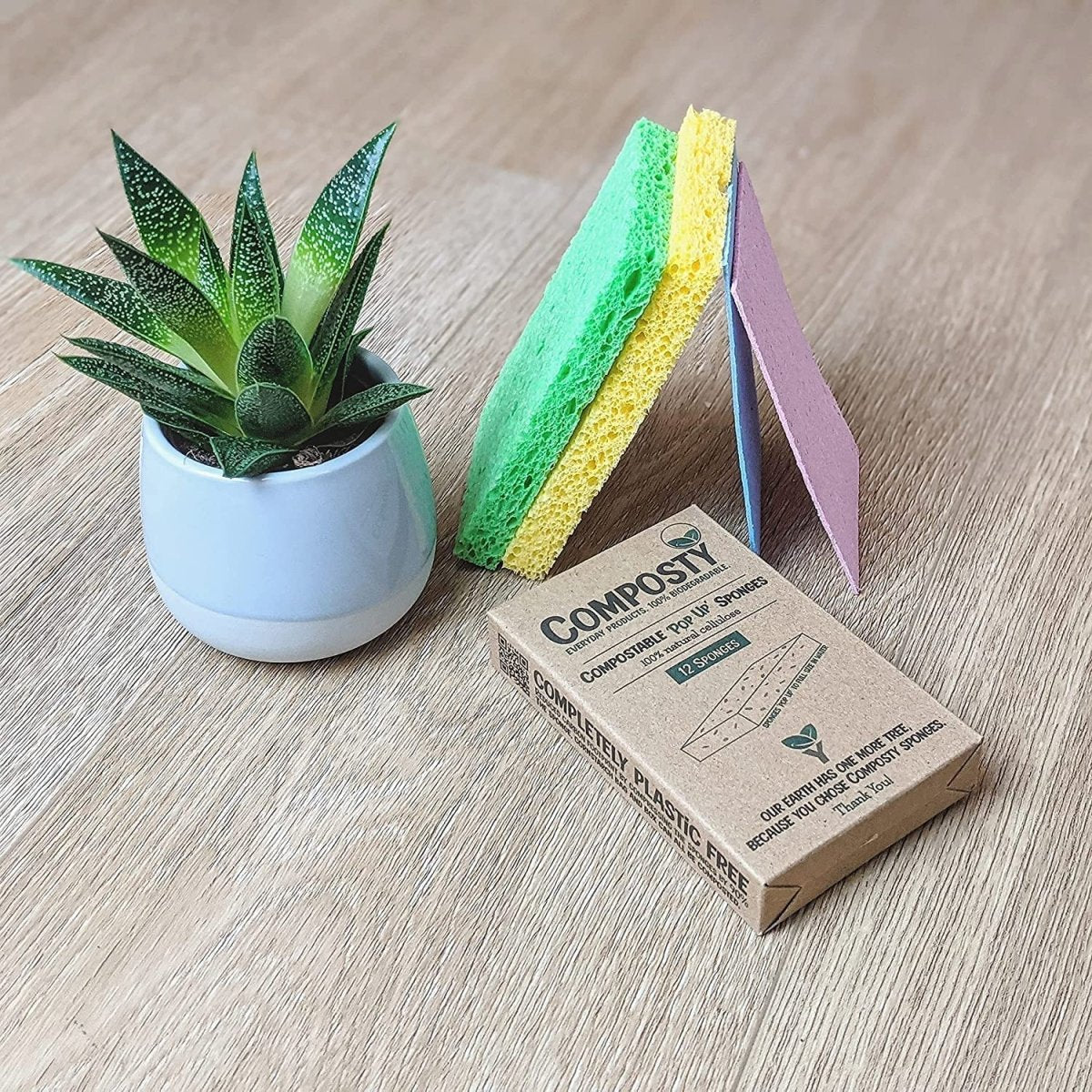Jumbo ‘Pop-Up’ Eco Sponges – Large Size – 3 Pack - REGN