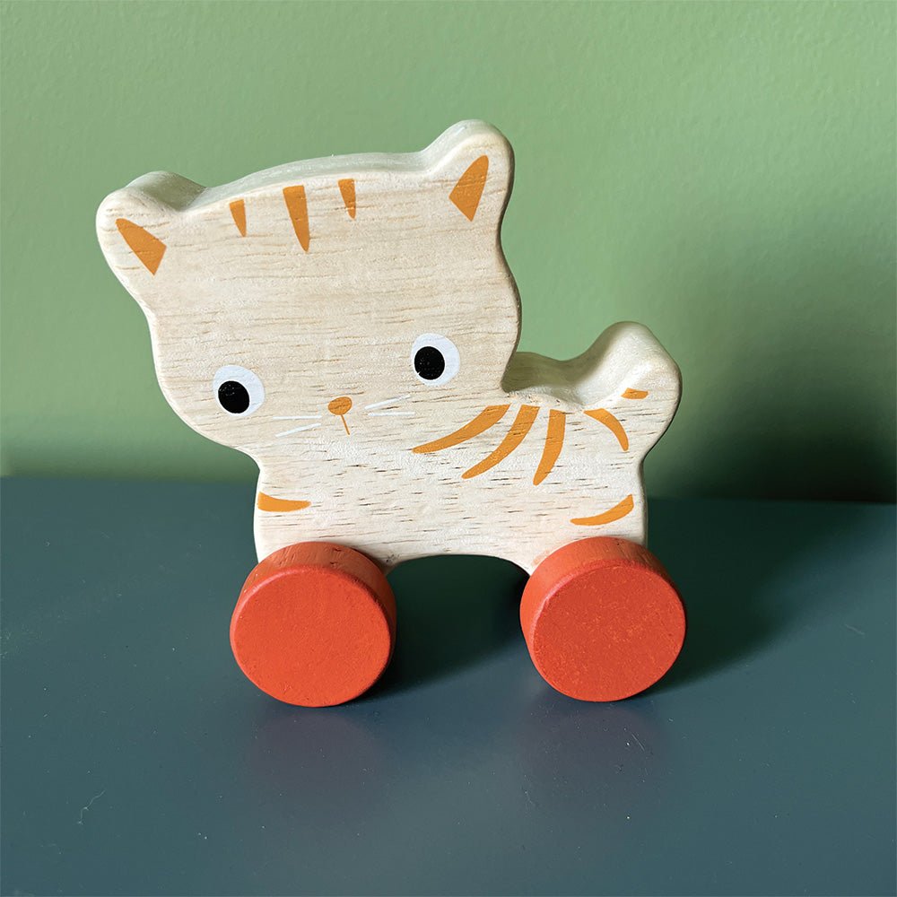 Kitten On Wheels - REGN