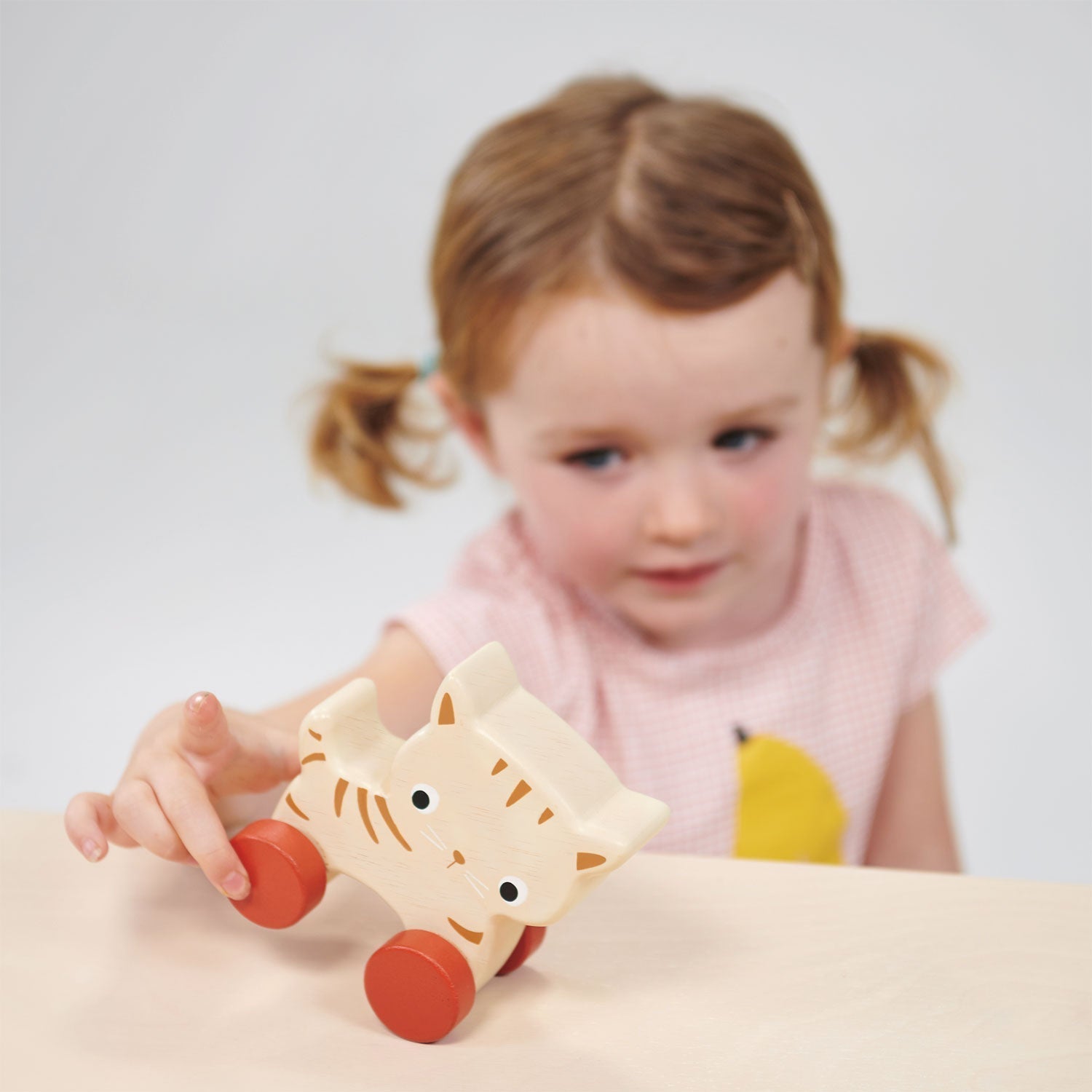 Kitten On Wheels - REGN