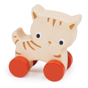 Kitten On Wheels - REGN