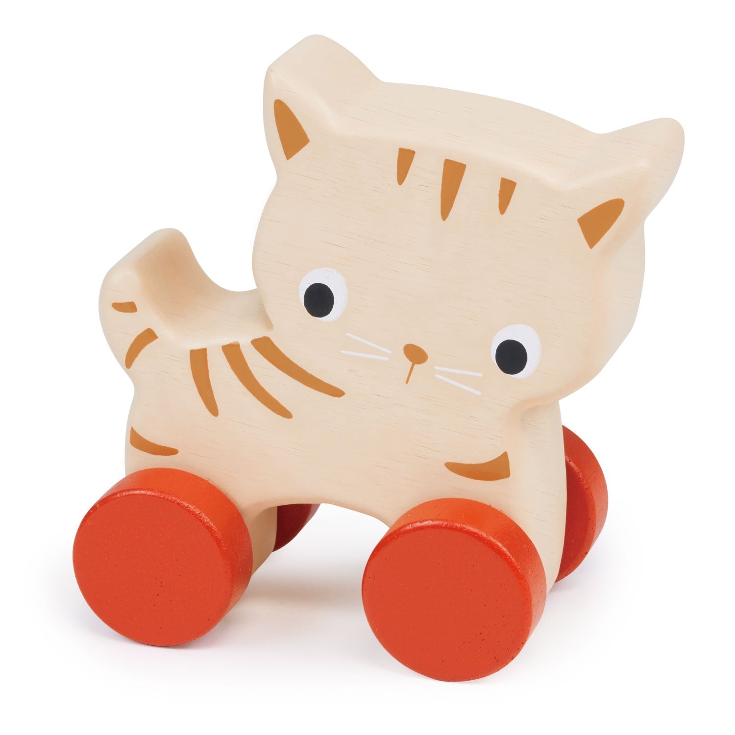 Kitten On Wheels - REGN