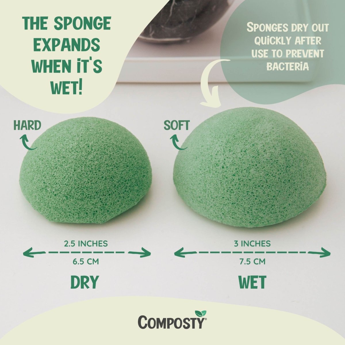 Konjac Facial Sponges – 4 Pack - REGN