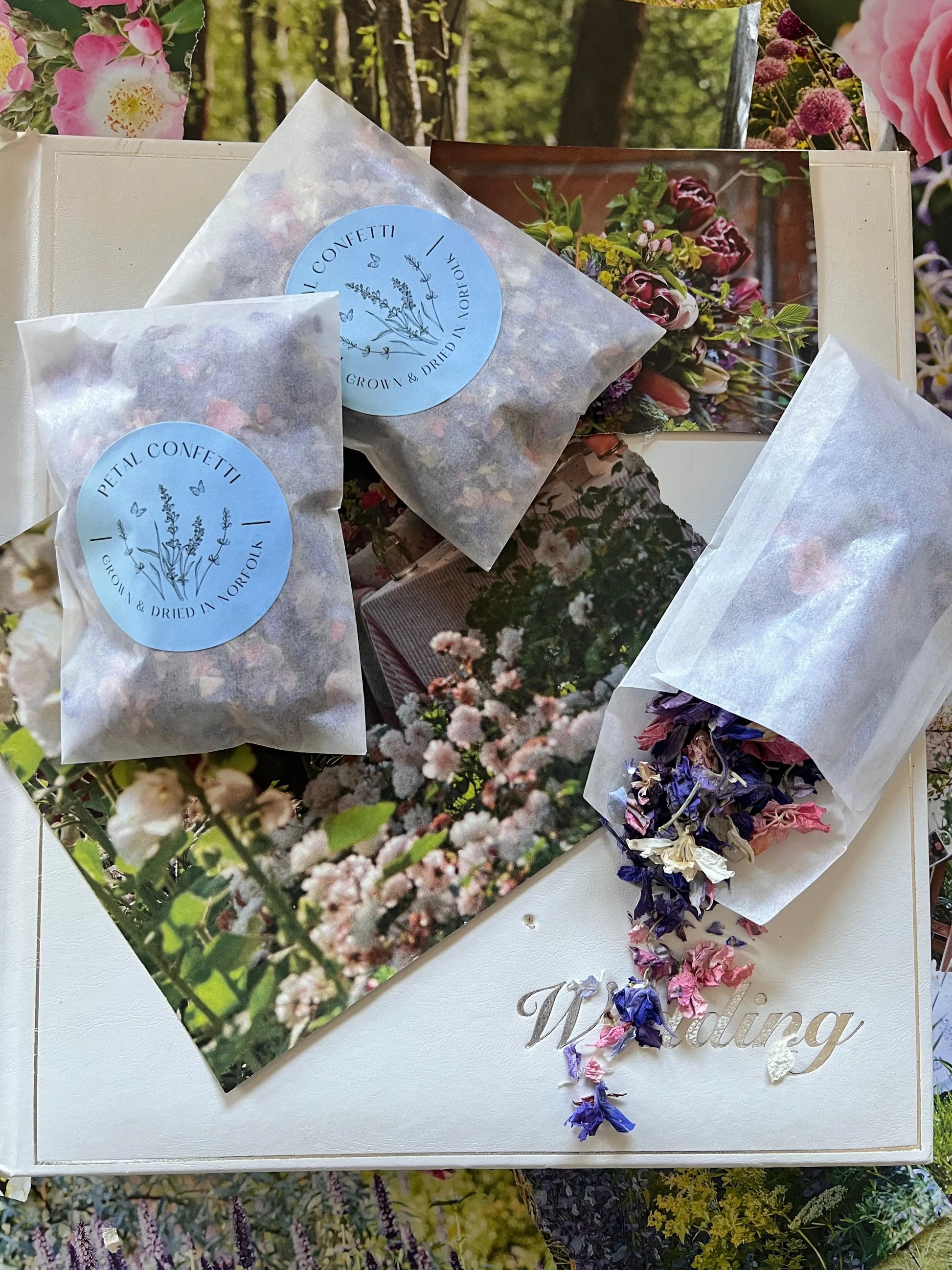 Larkspur Confetti (Mixed Colours) 4g - REGN