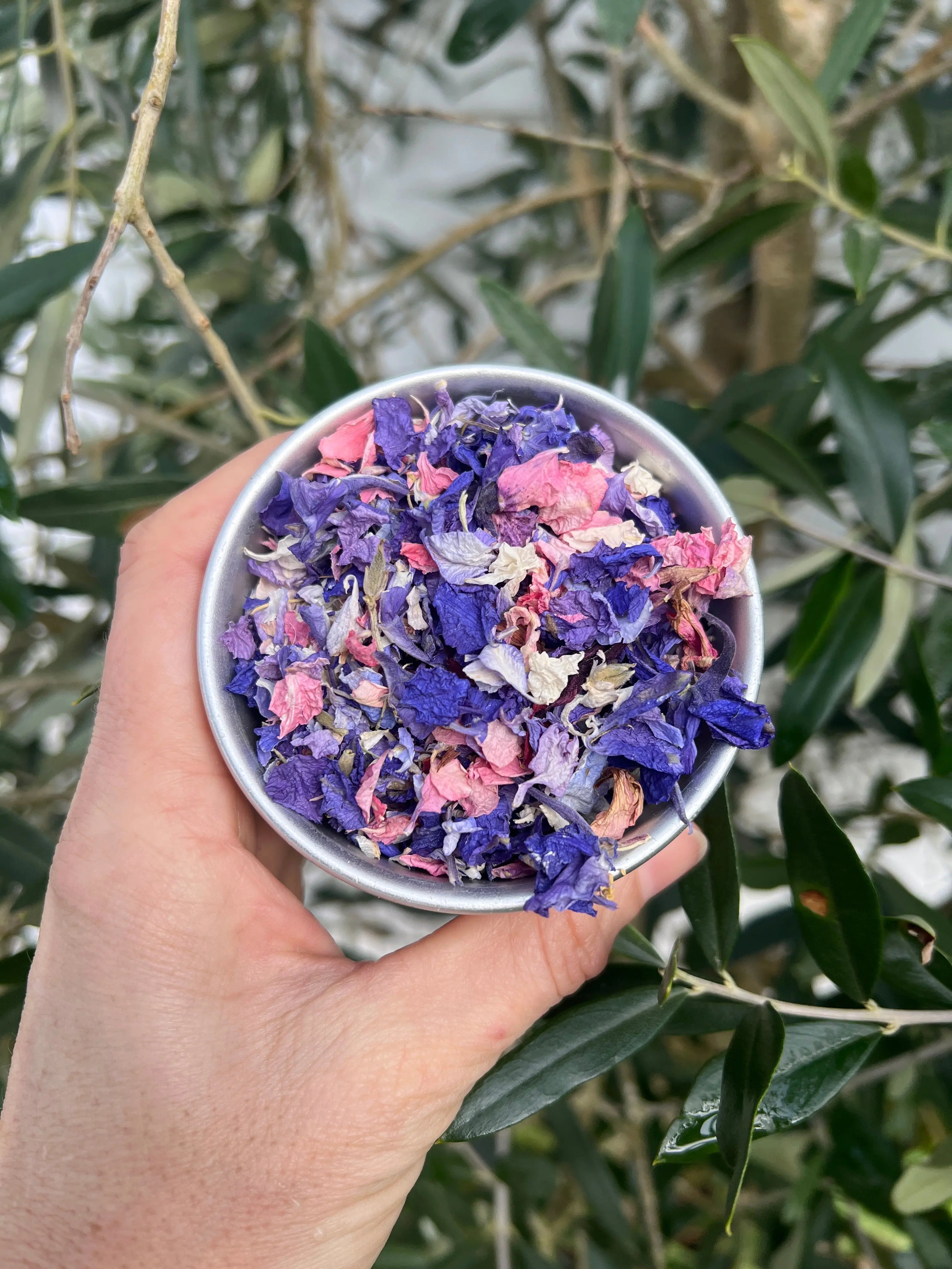 Larkspur Confetti (Mixed Colours) 4g - REGN