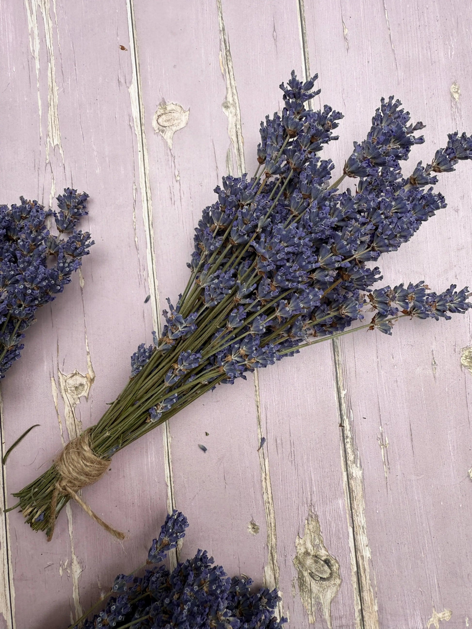 Lavender Dried (Small) - REGN