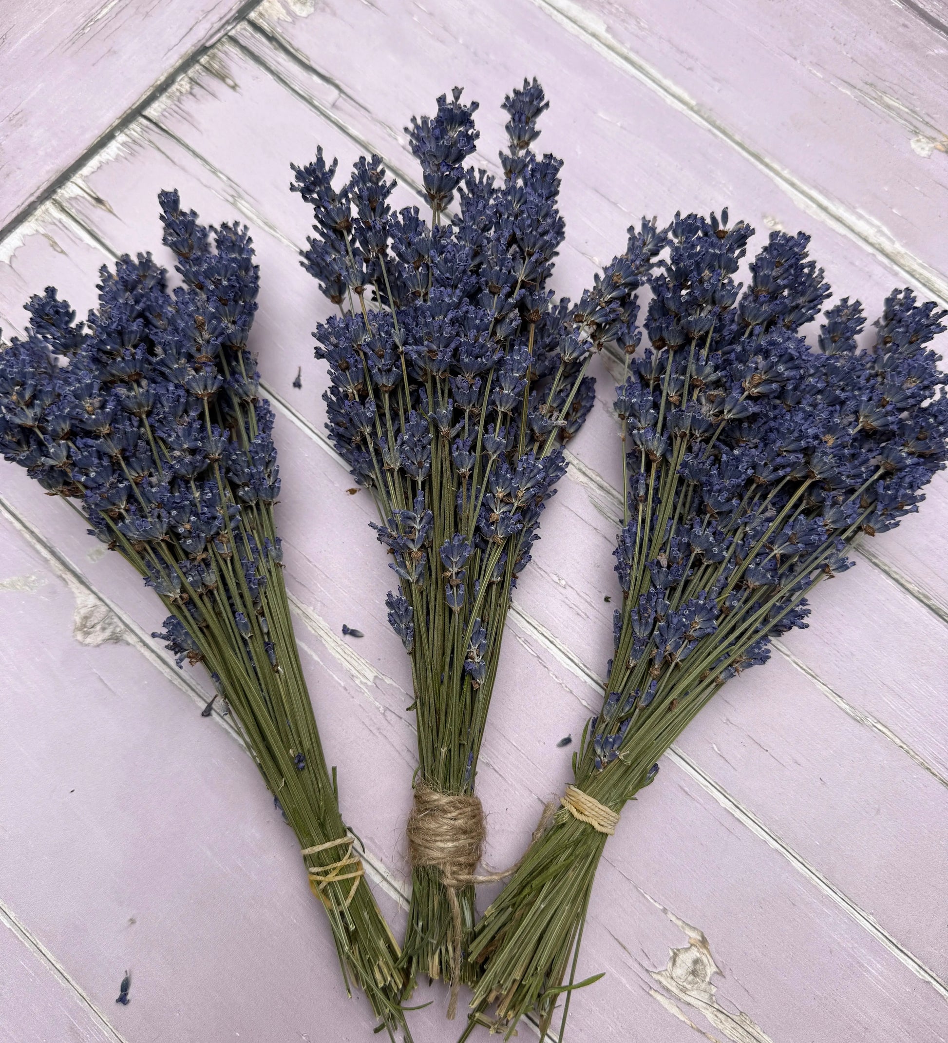 Lavender Dried (Small) - REGN