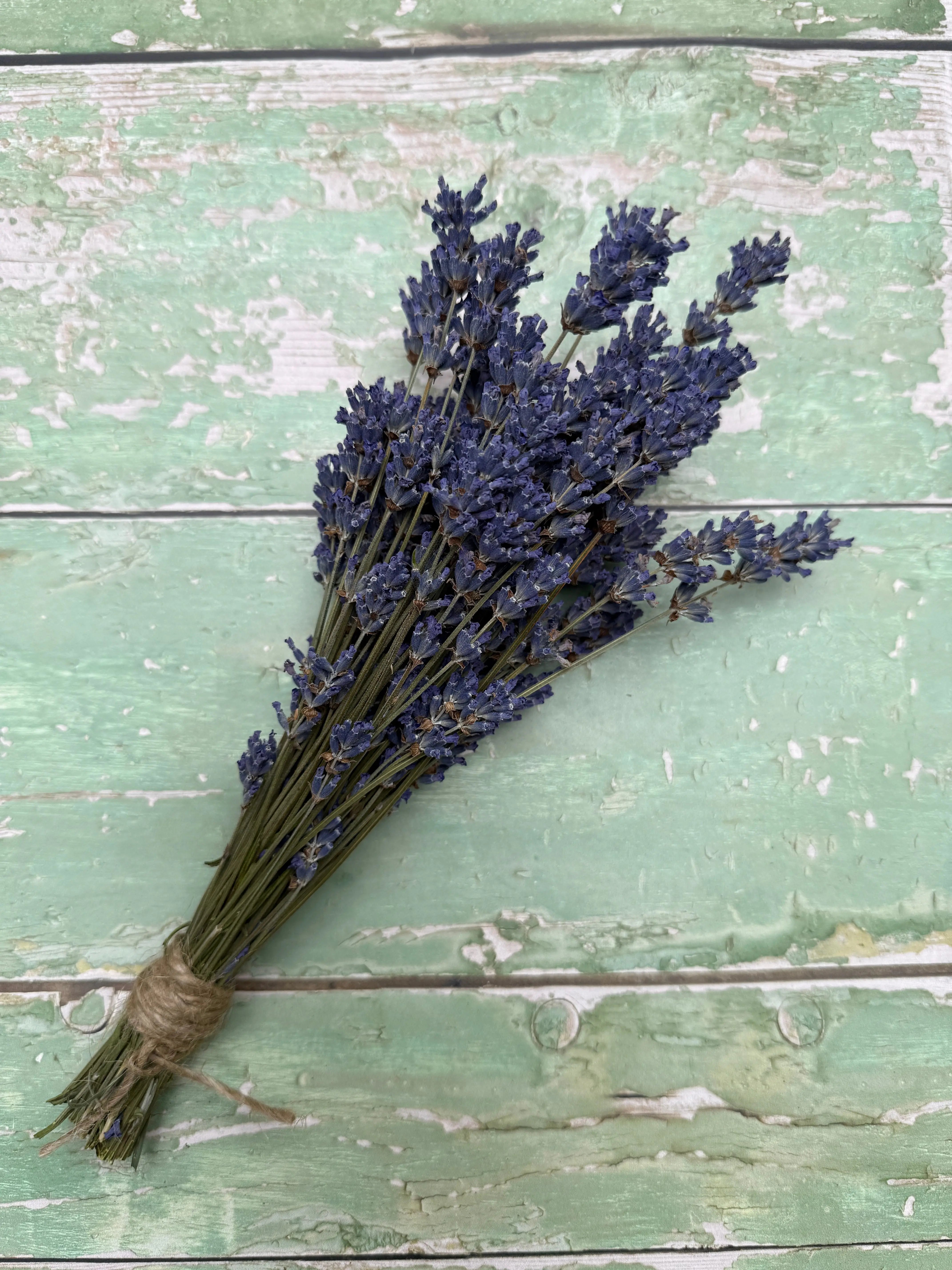 Lavender Dried (Small) - REGN