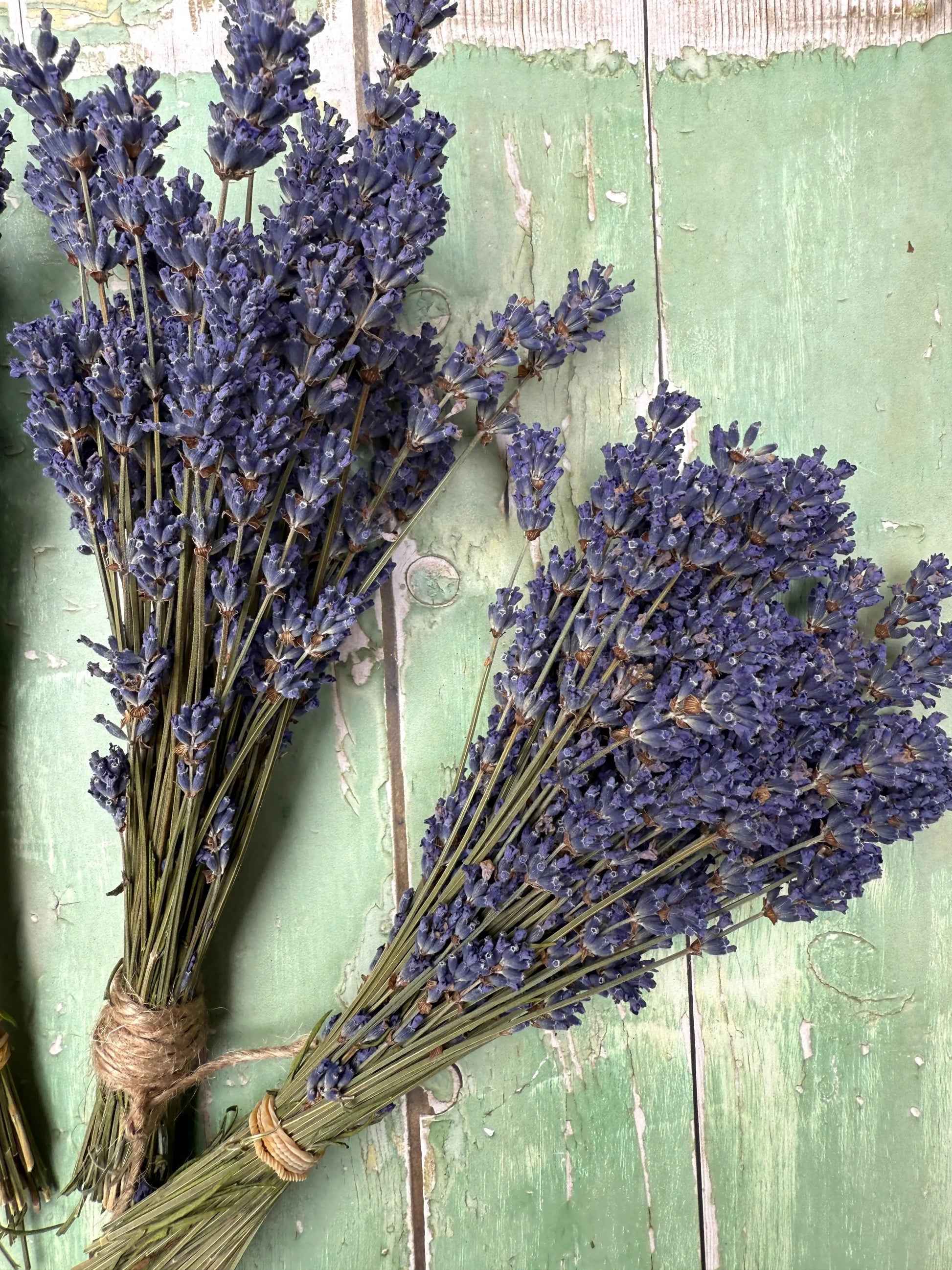 Lavender Dried (Small) - REGN