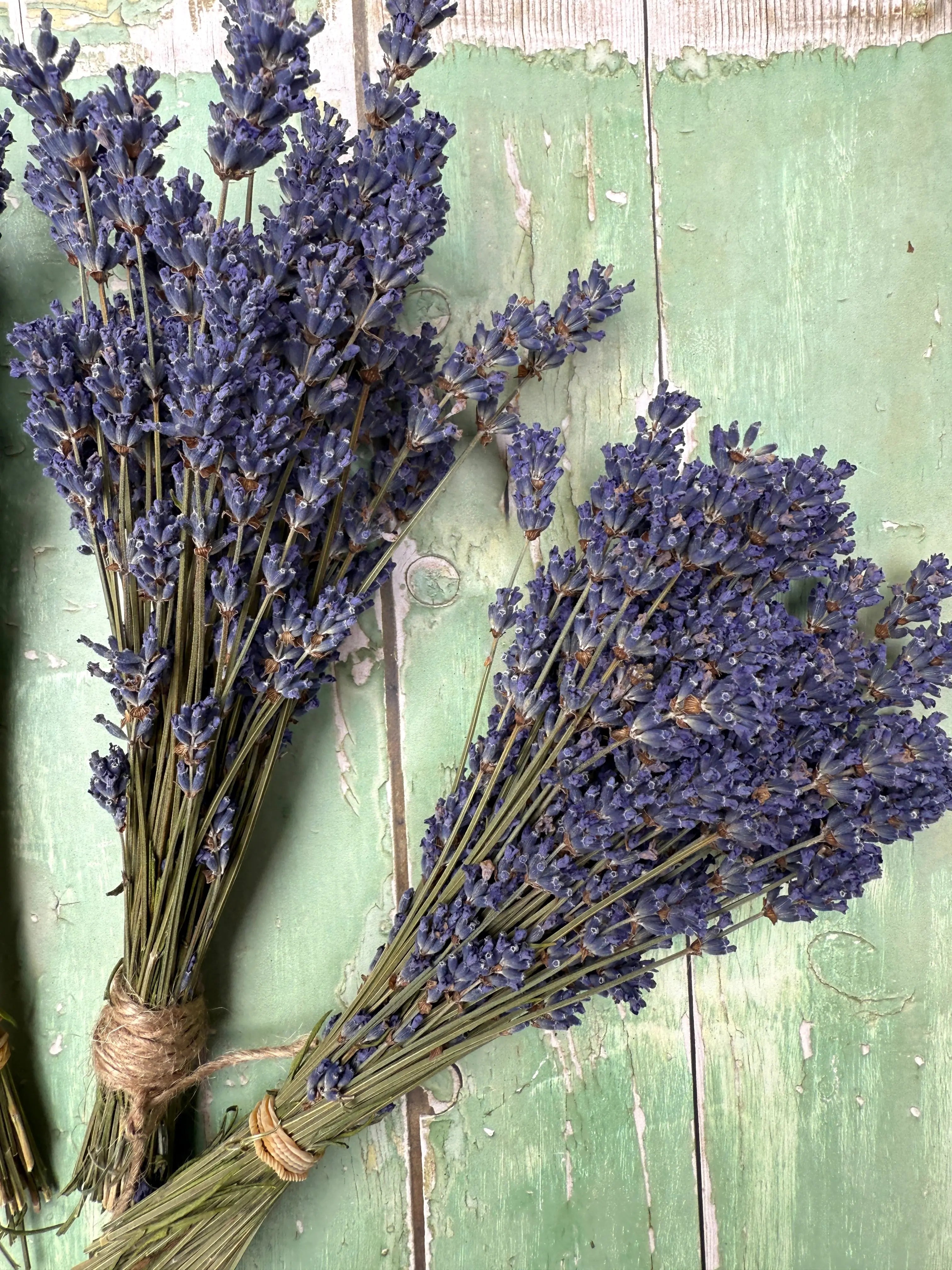 Lavender Dried (Small) - REGN