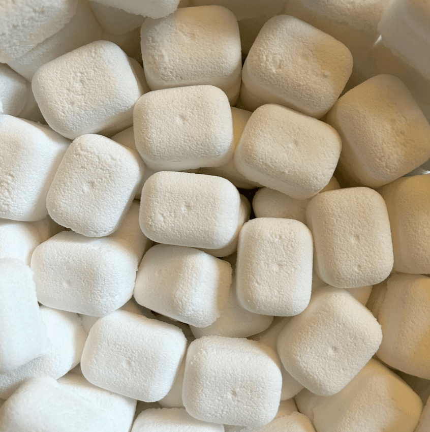 Lavender & Peppermint Toilet Bombs For Eco Cleaning, Citric Acid Bicarb Toilet Cleaner - 10 Pack - REGN