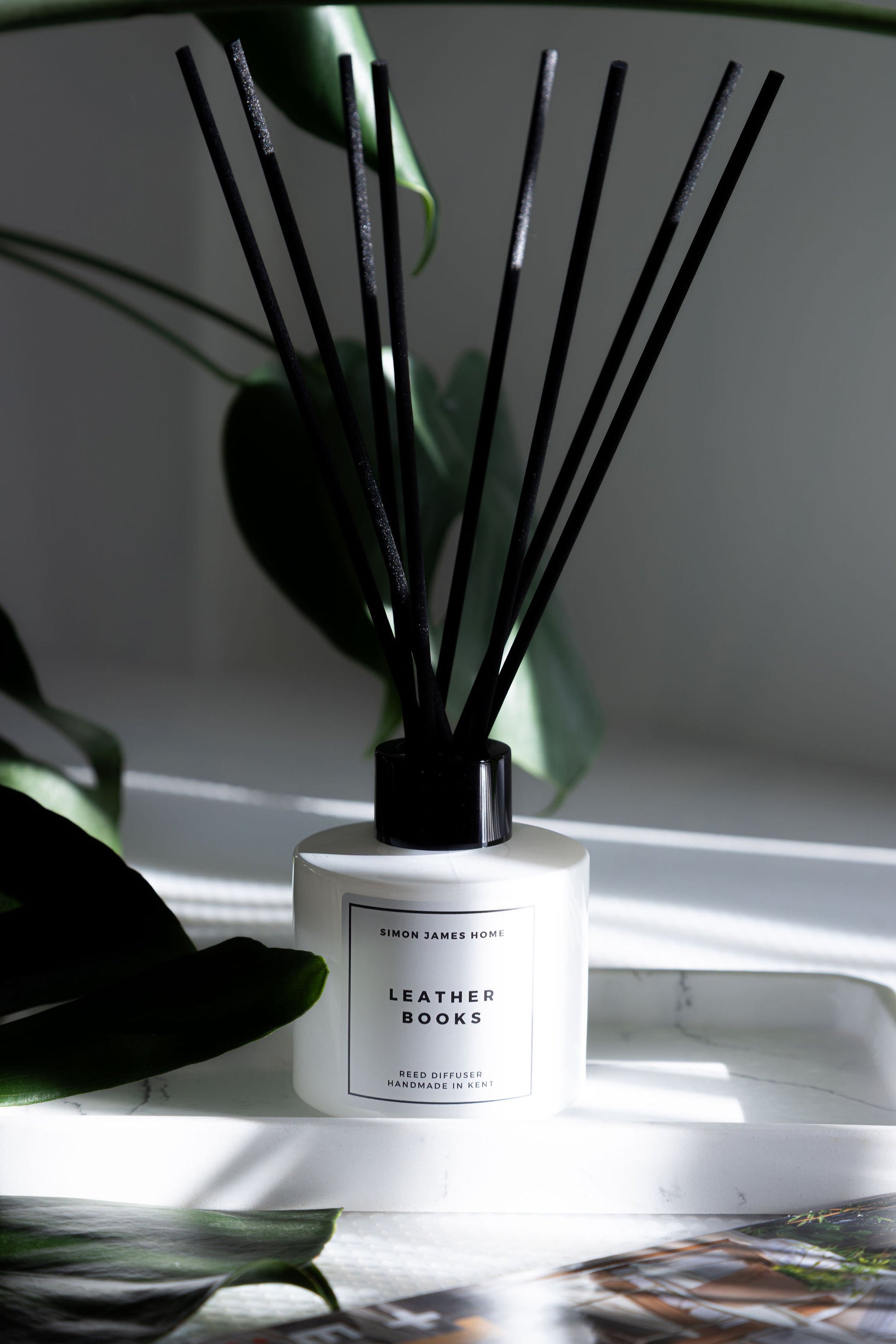 Leather Books Reed Diffuser - REGN