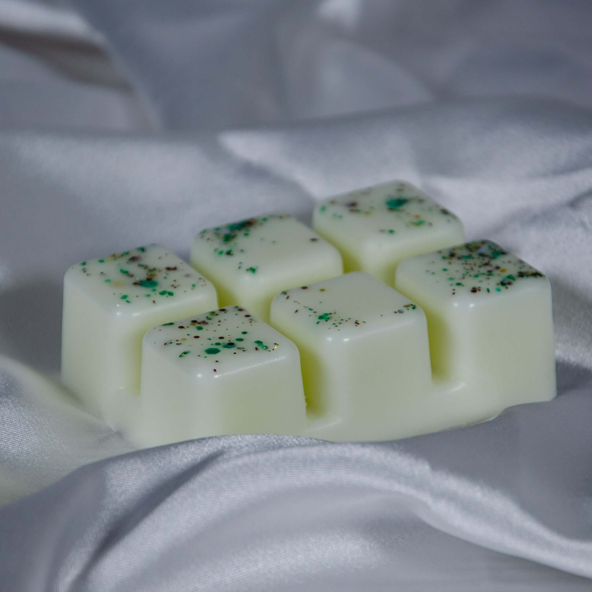Lemongrass & Ginger - Wax Melt Clamshell - REGN