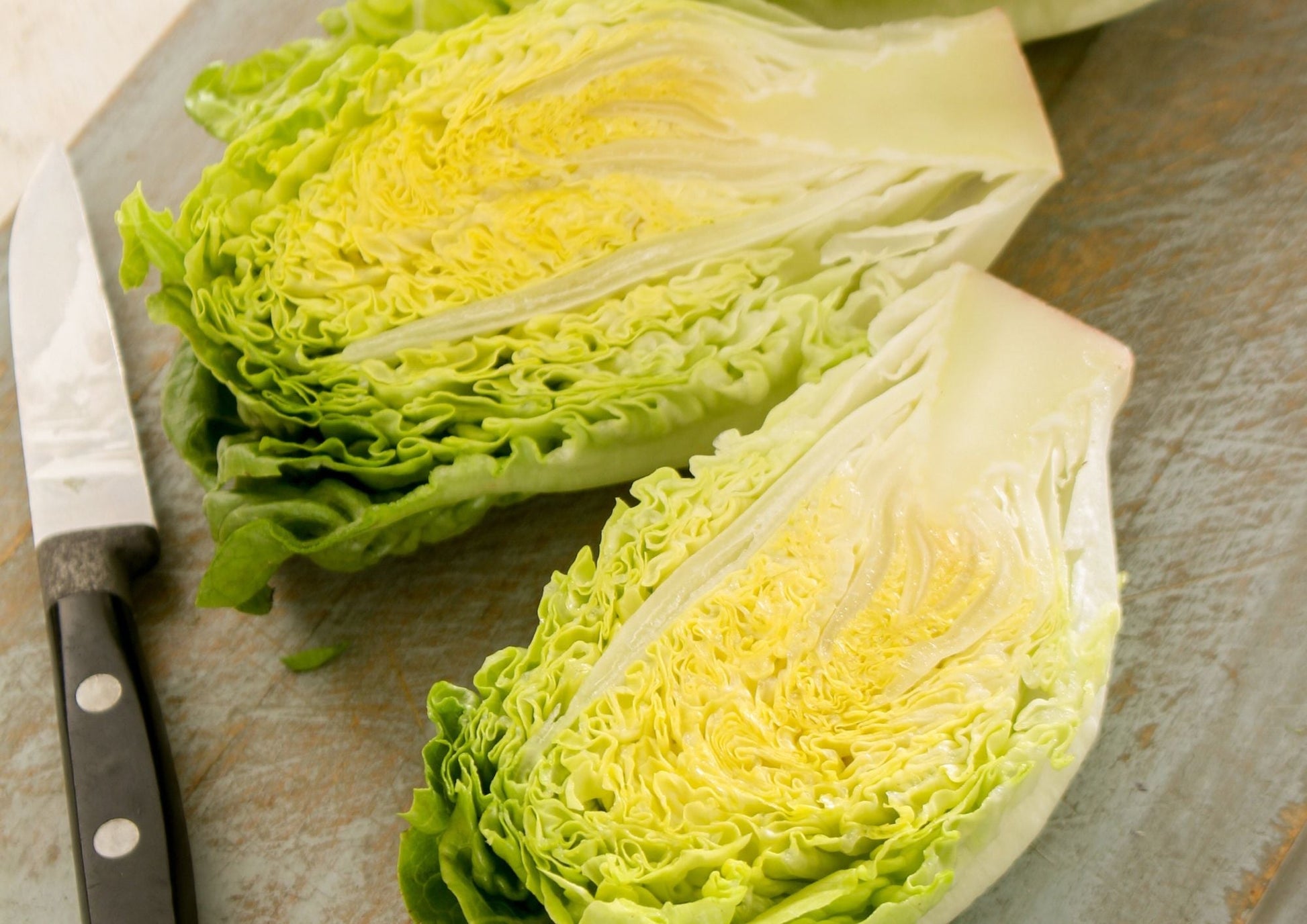 Lettuce Little Gem (Cos) - REGN
