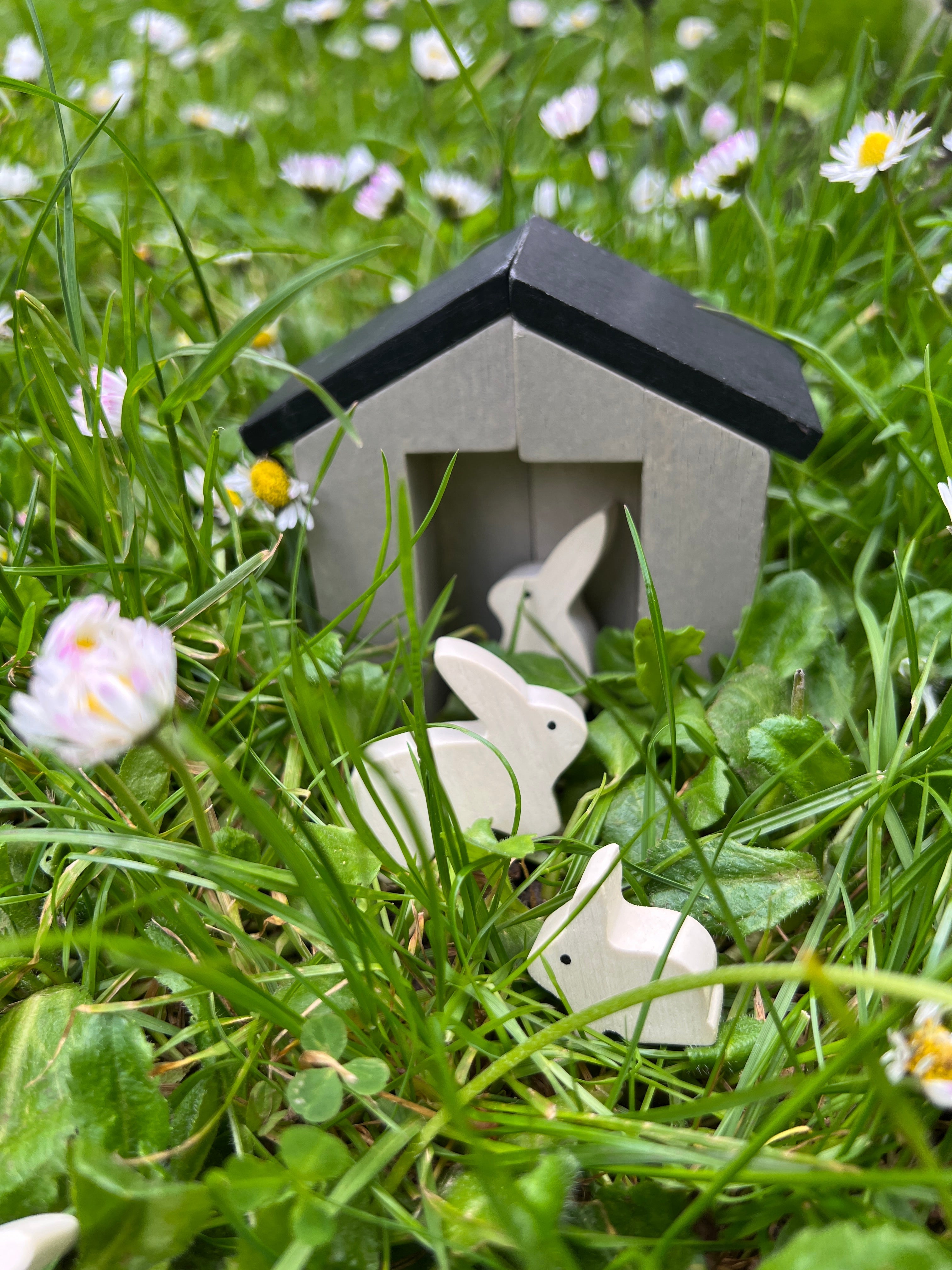 Little Garden Designer - REGN