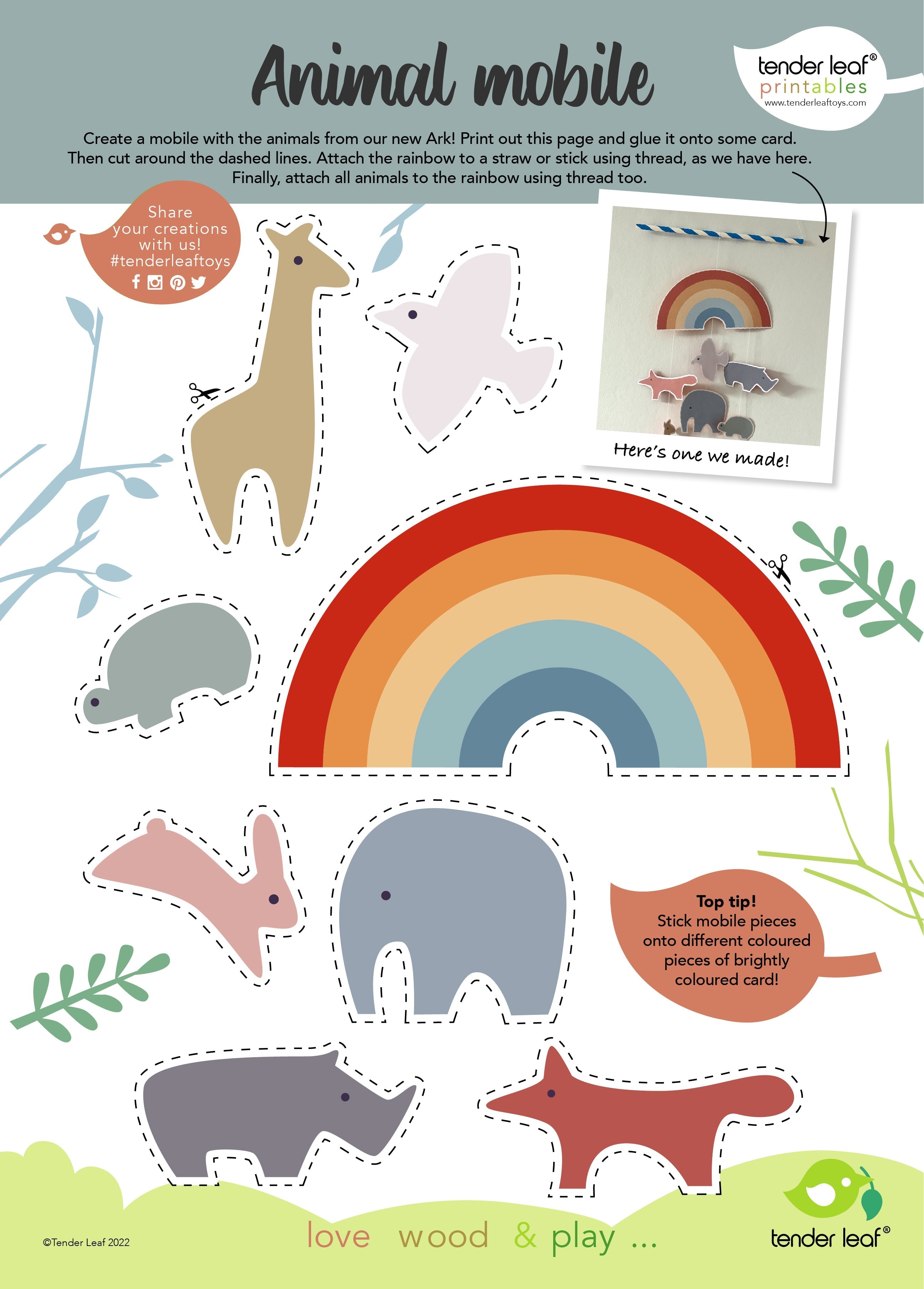 Little Noah's Ark - REGN