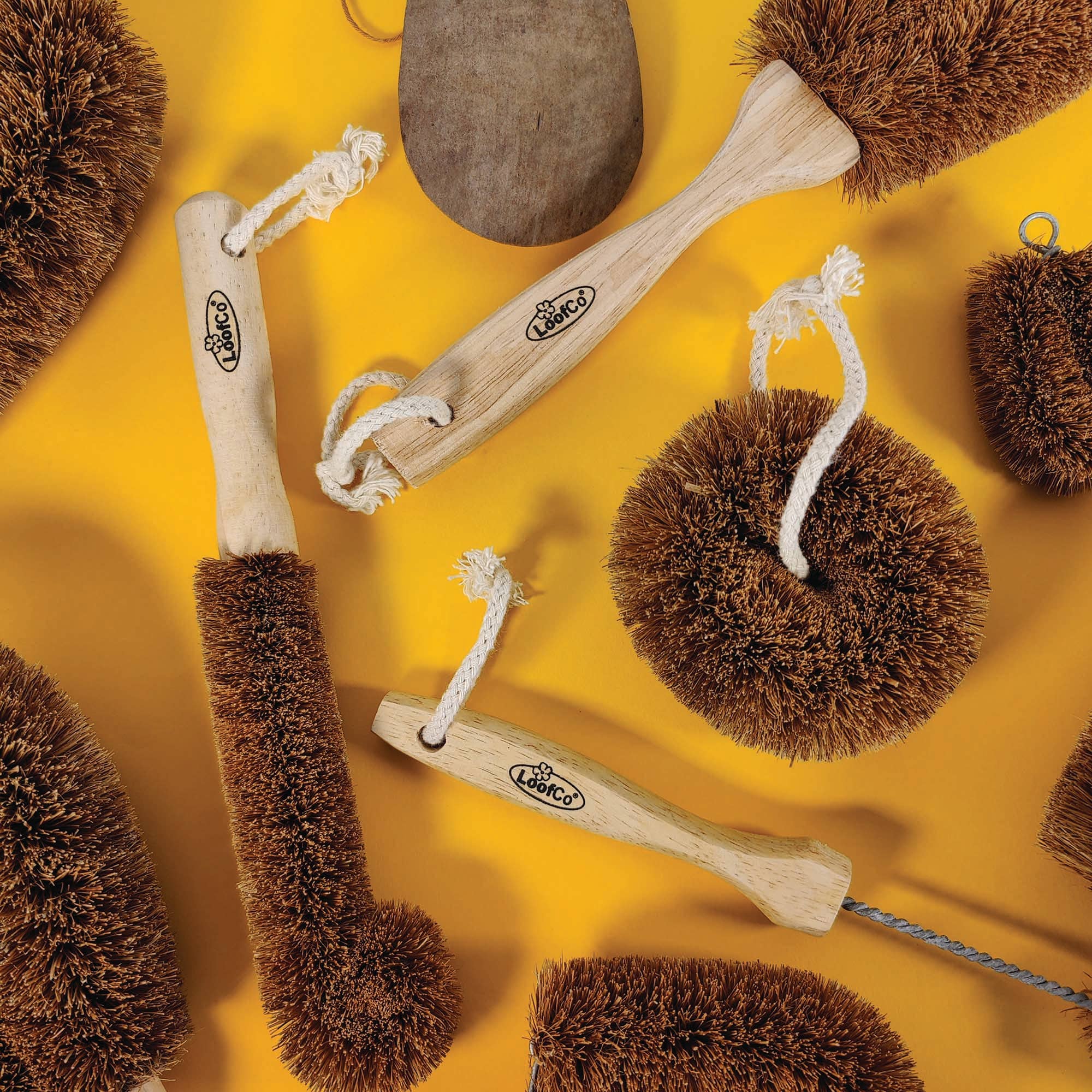 LoofCo Bottle Brush – Coconut Coir Fibre with Rubberwood Handle - REGN
