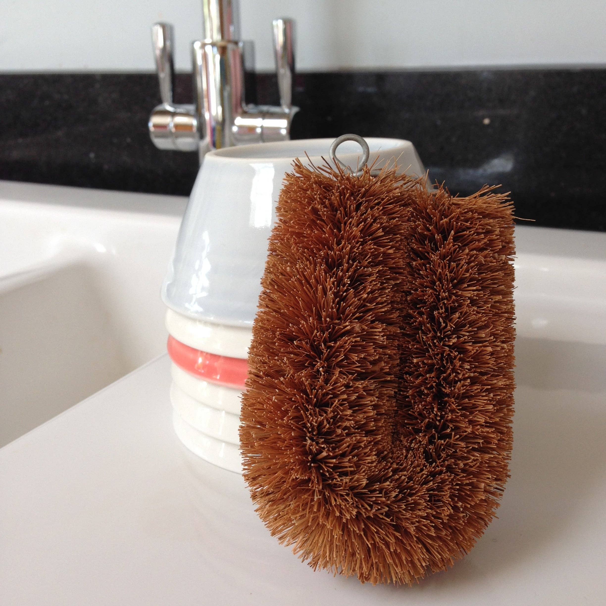 LoofCo Washing - Up Brush – Natural Coconut Fibre Dish Brush - REGN