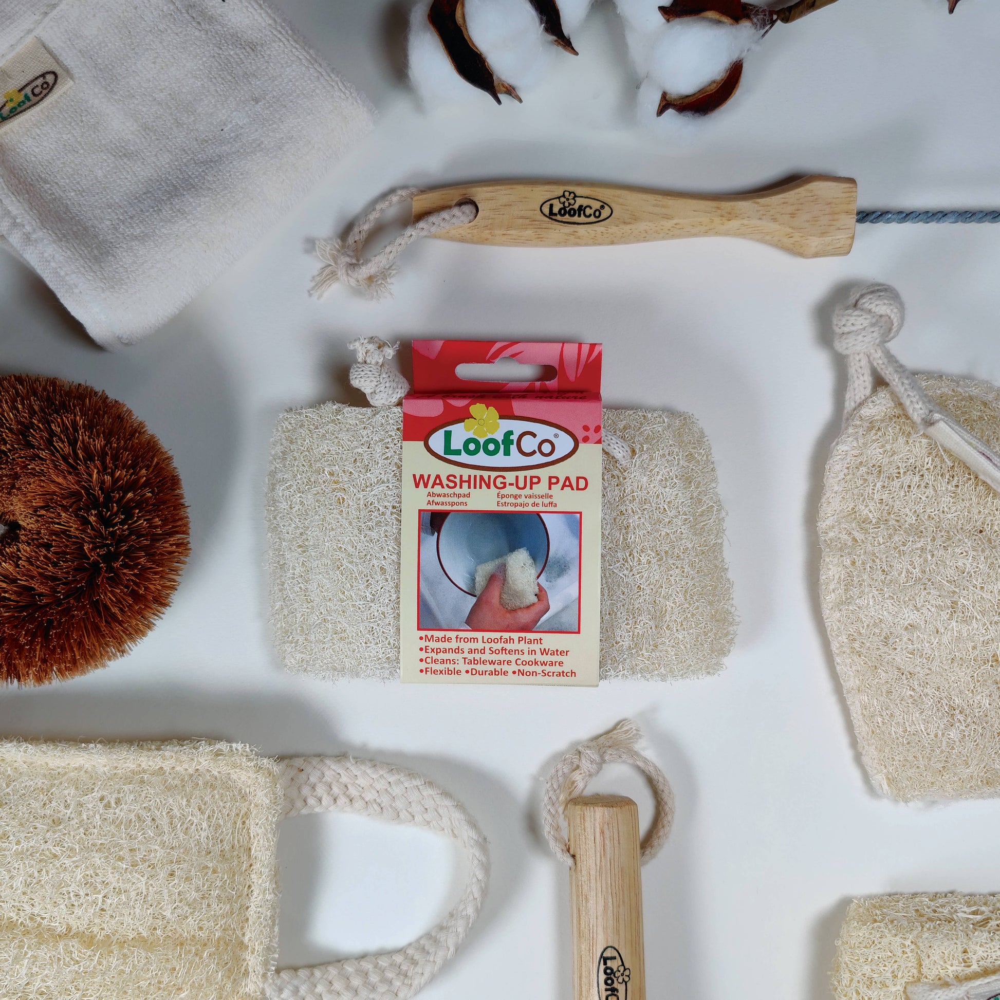 LoofCo Washing - Up Pad – Natural Loofah Dish Sponge - REGN