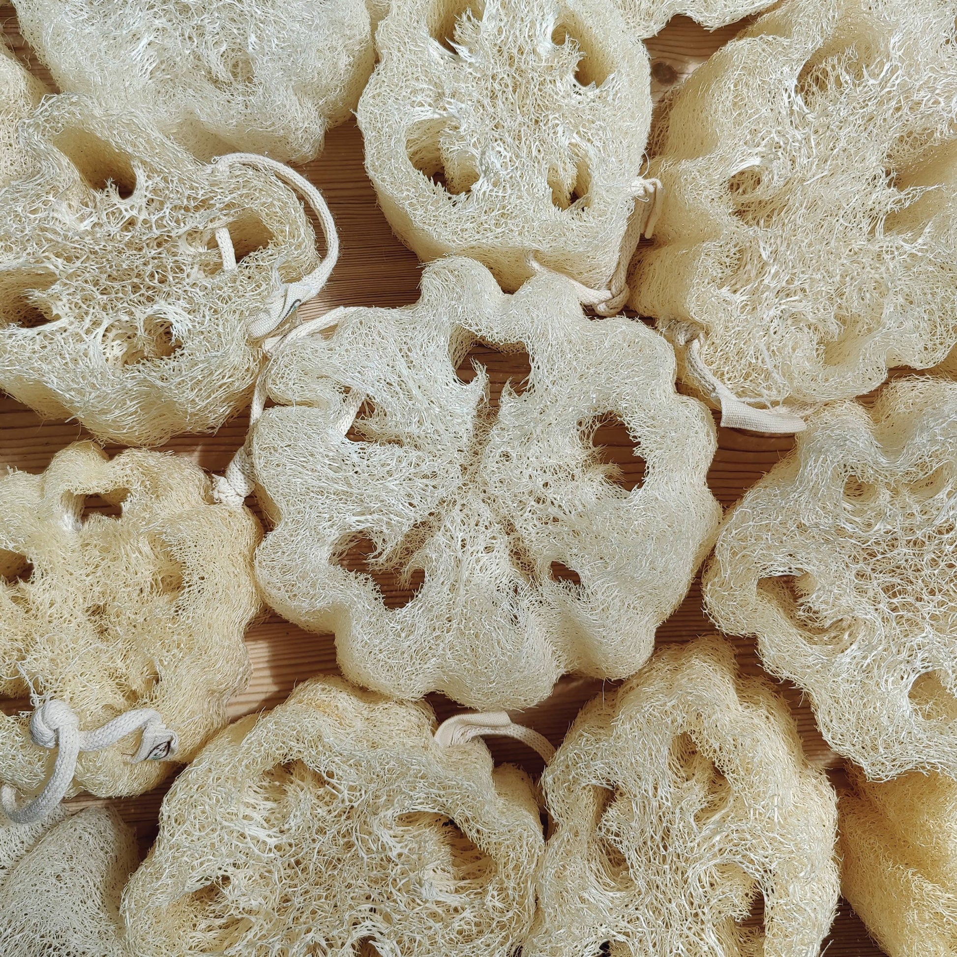 LoofCo Washing - Up Pad – Natural Loofah Dish Sponge - REGN