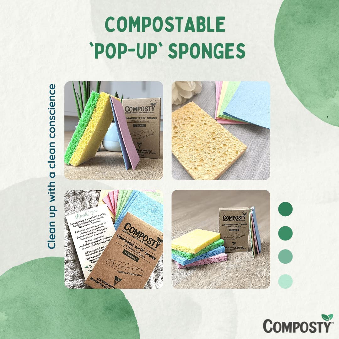 Magic ‘Pop-Up’ Eco Sponges - REGN