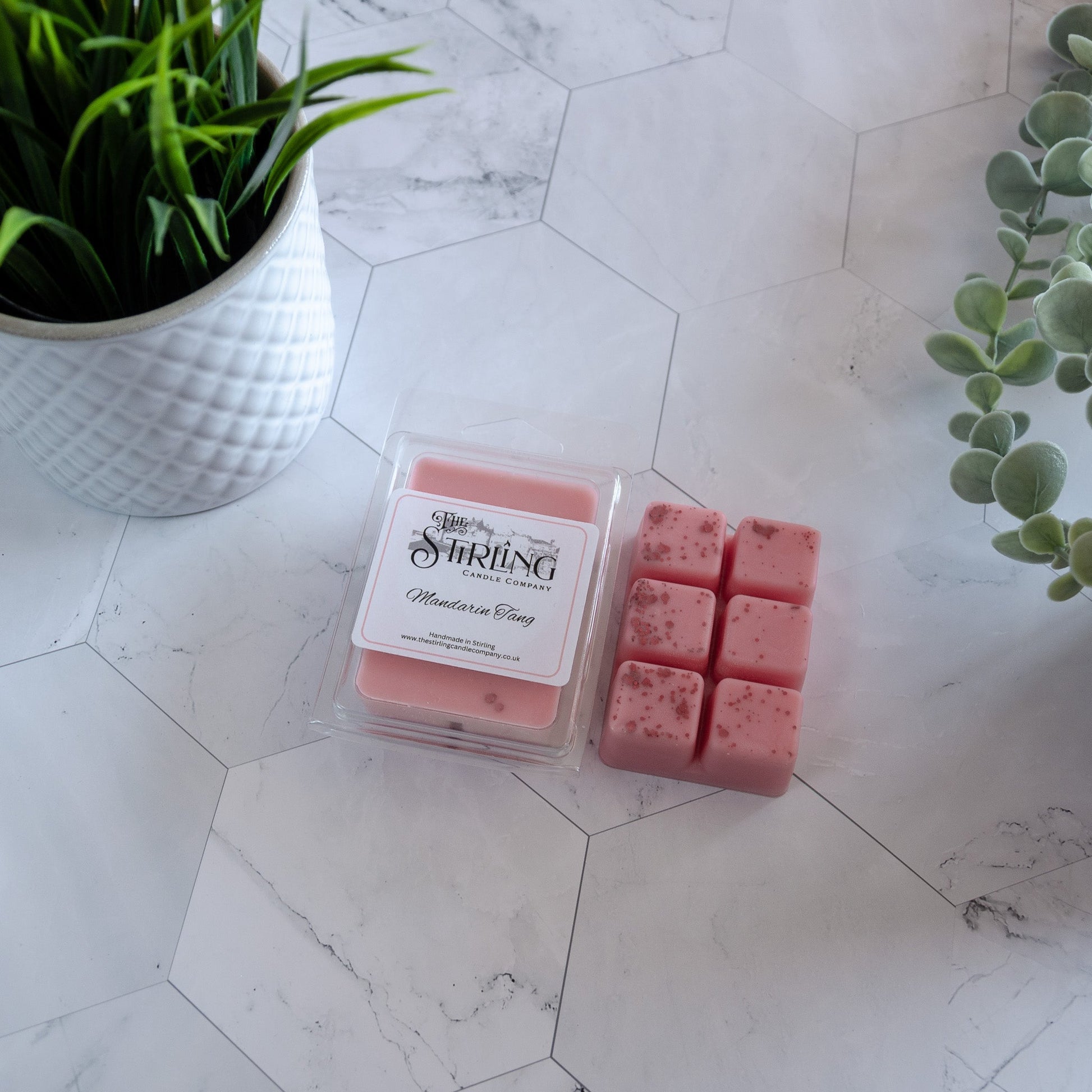 Mandarin Tang - Wax Melt Clamshell - REGN