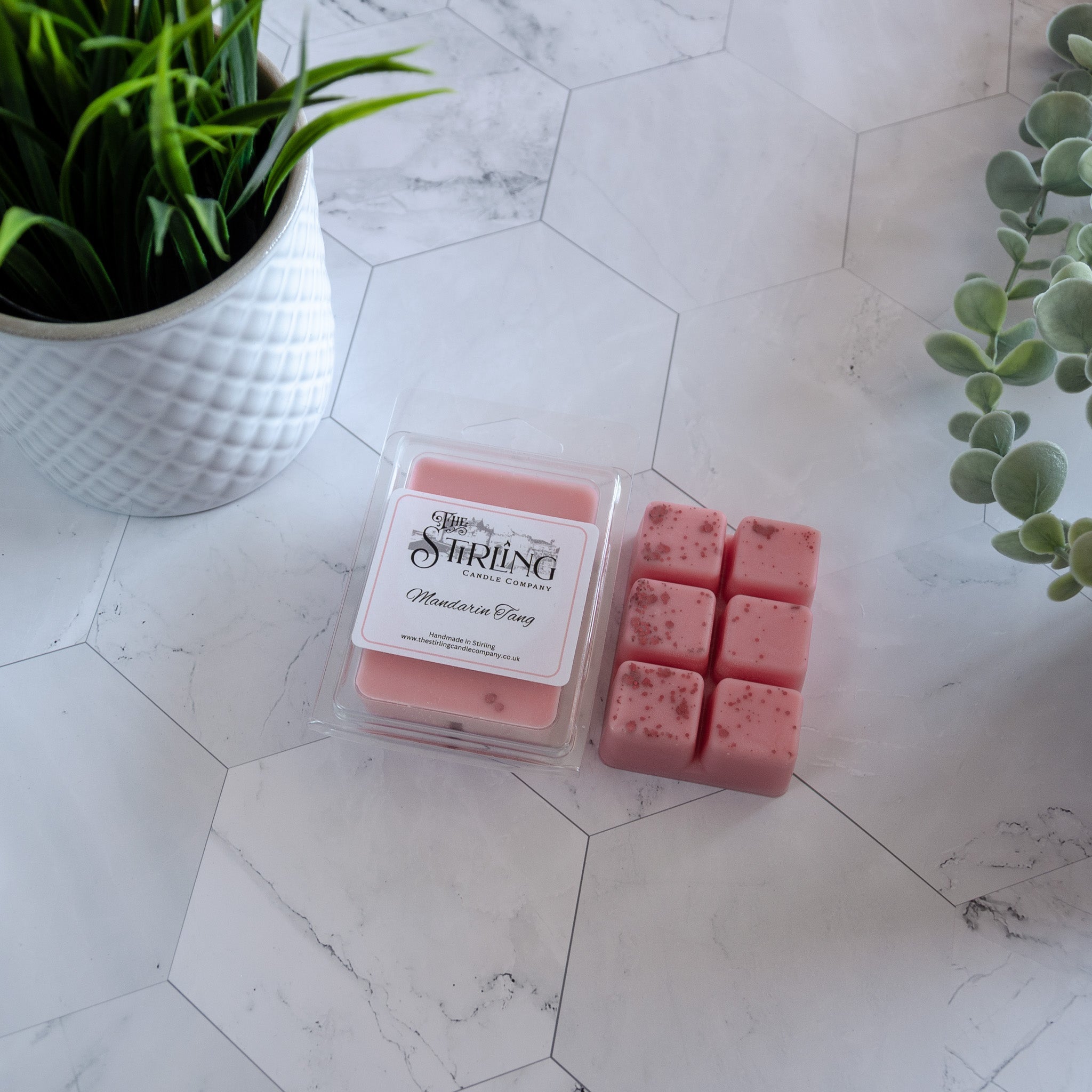 Mandarin Tang - Wax Melt Clamshell - REGN