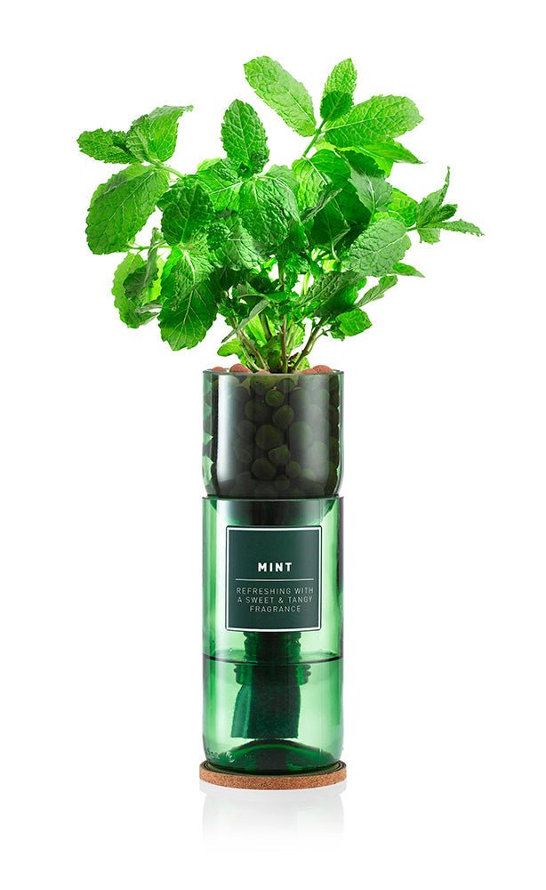 Mint - REGN
