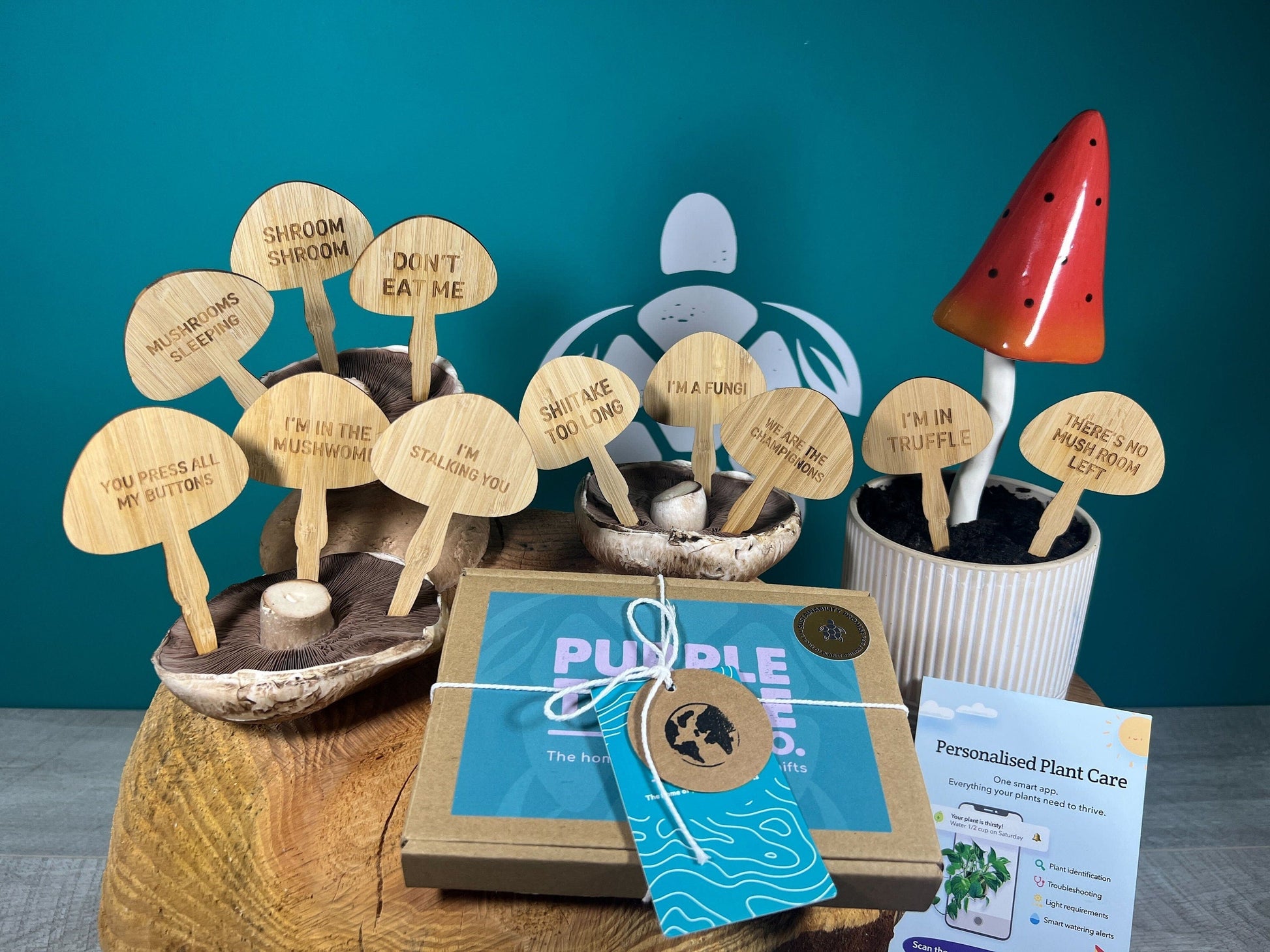 Mushroom Plant Stakes Gift Set - REGN