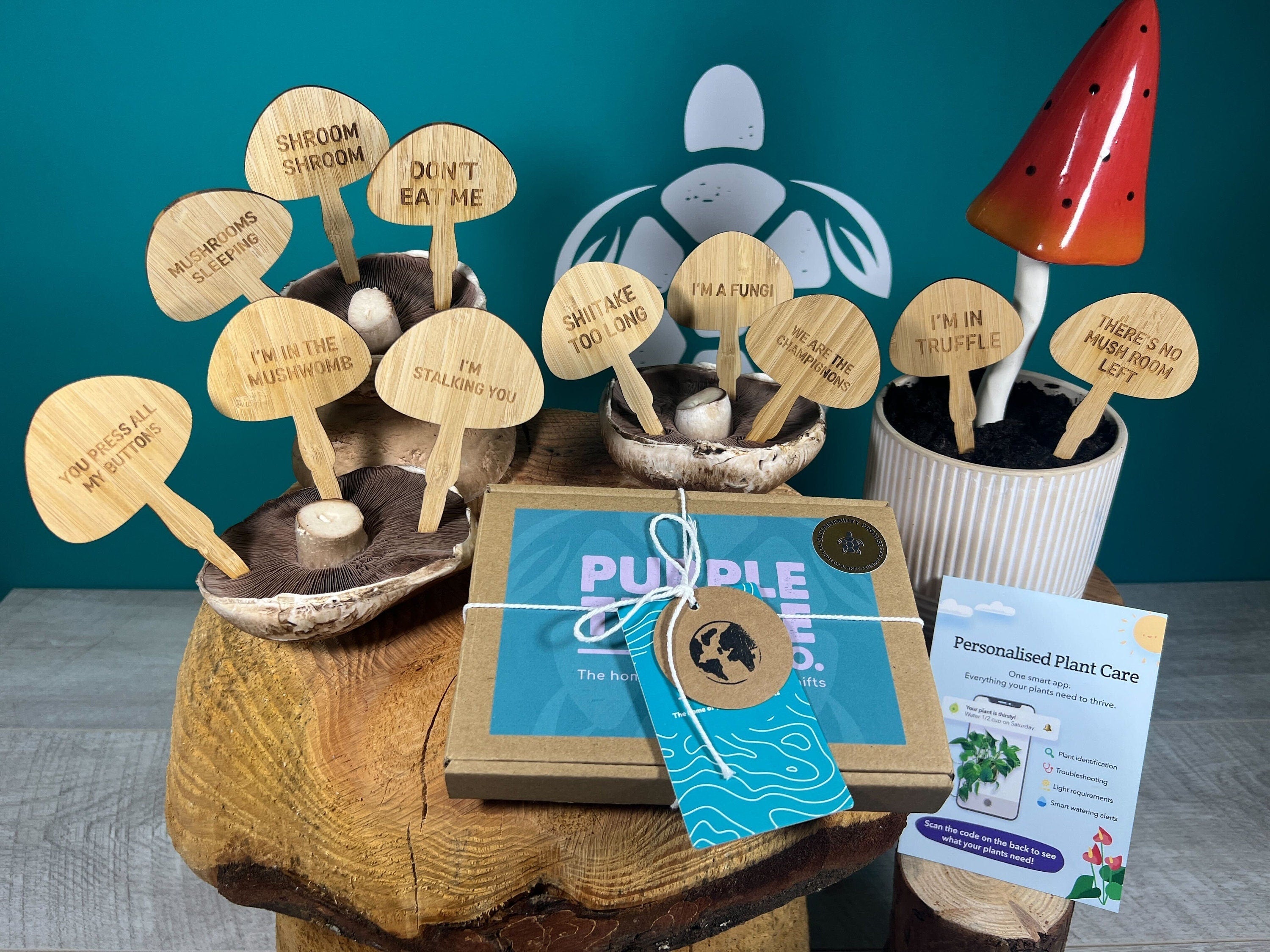 Mushroom Plant Stakes Gift Set - REGN