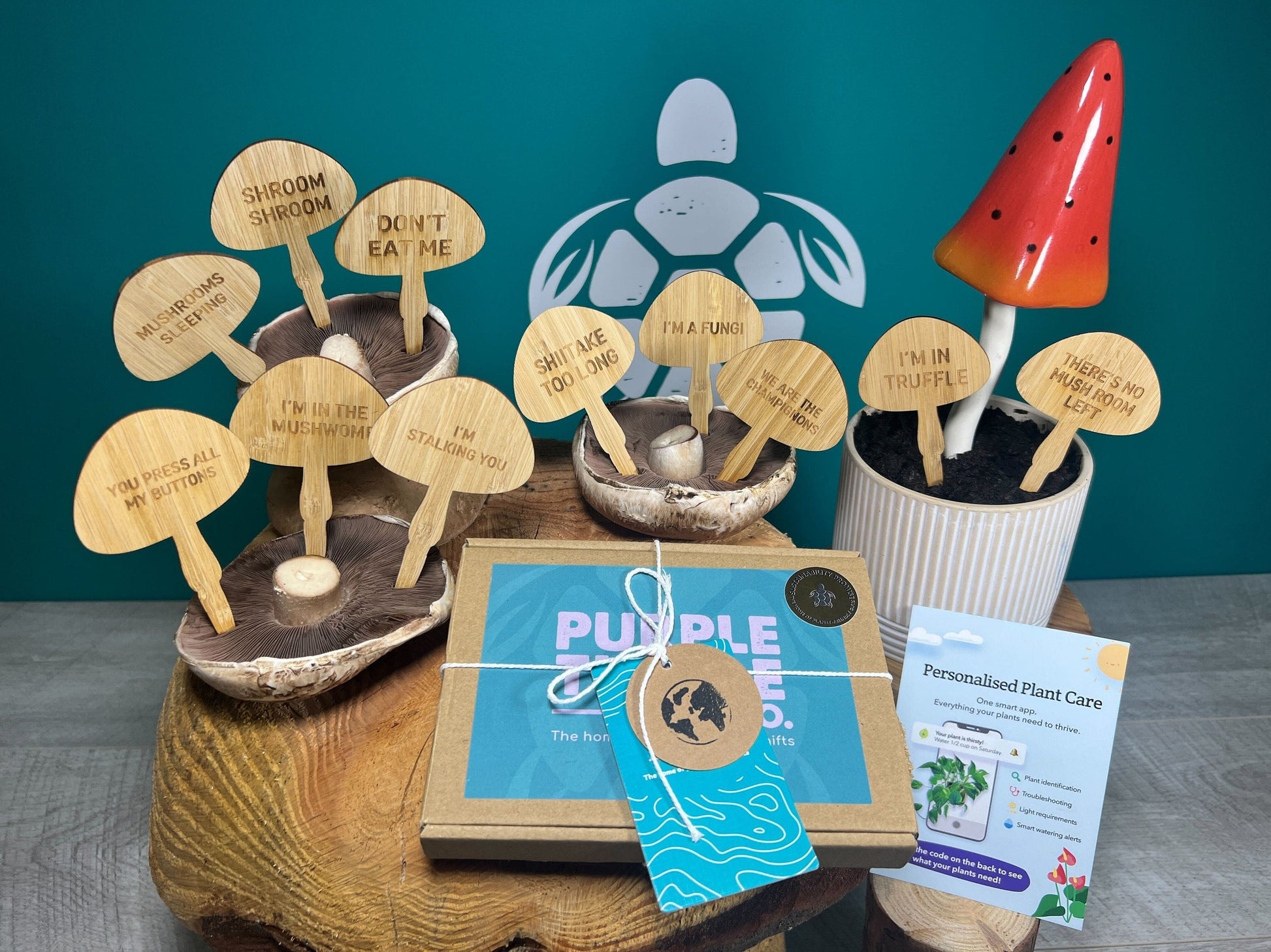 Mushroom Plant Stakes Gift Set - REGN