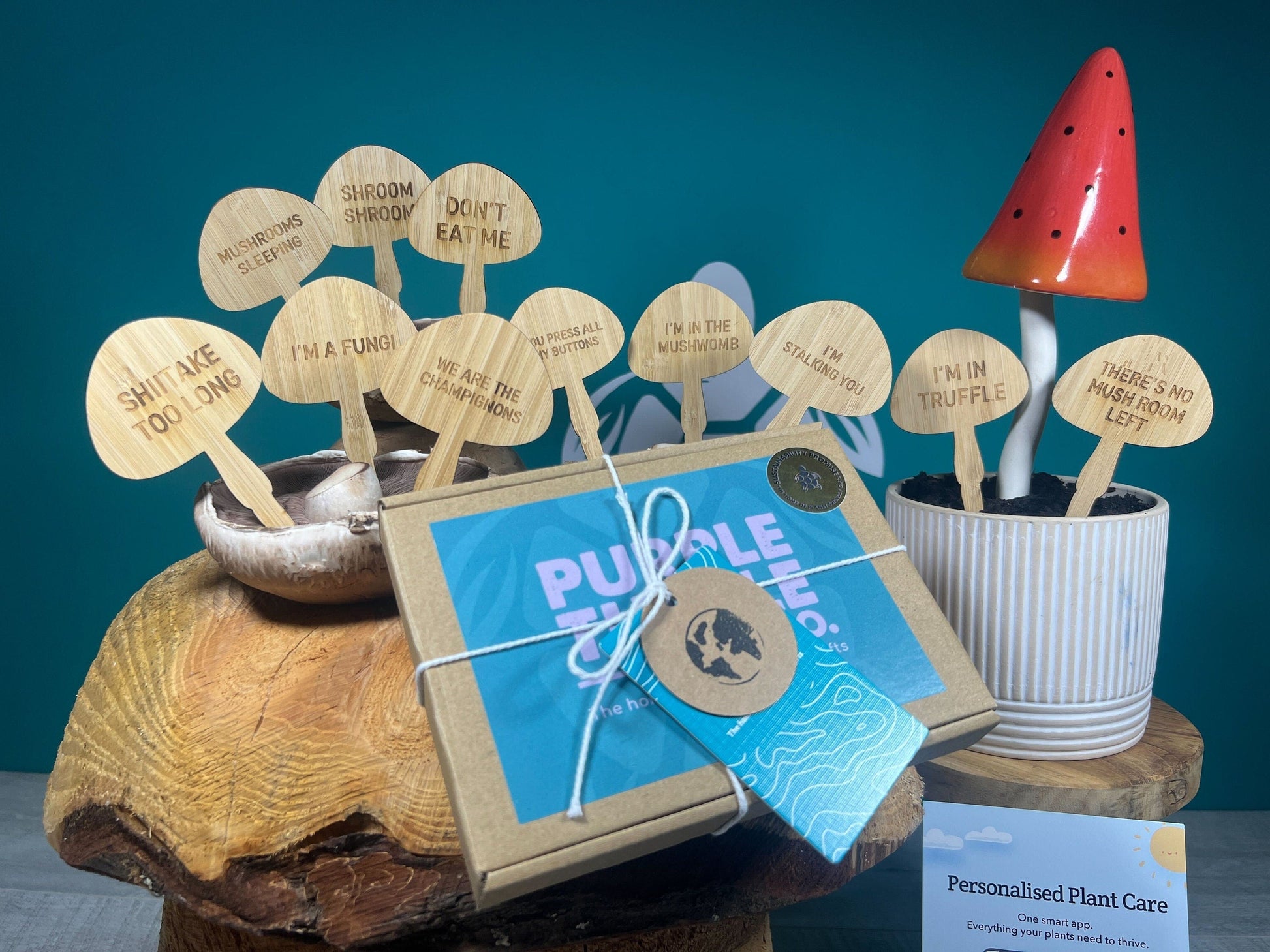 Mushroom Plant Stakes Gift Set - REGN