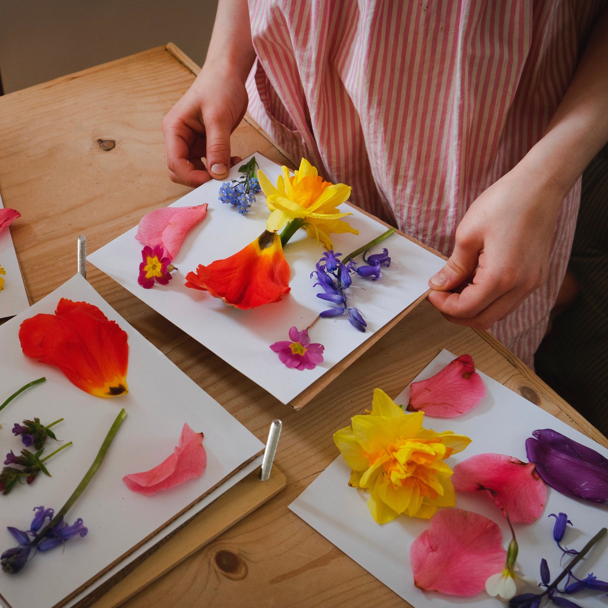 My Botanical Press - REGN
