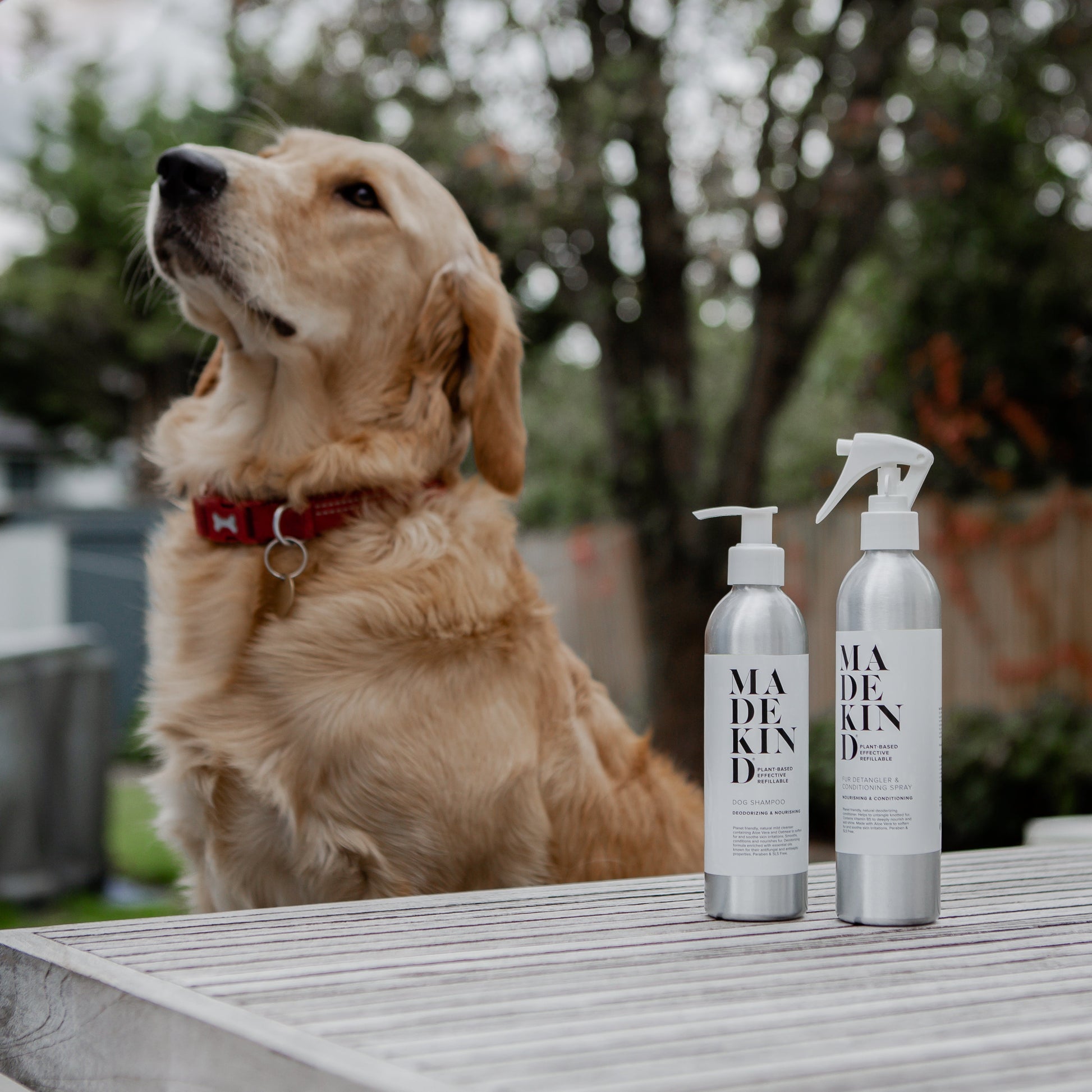 Natural Dog Fur Detangler & Conditioning Spray - Nourishing & Softening 225ml - REGN