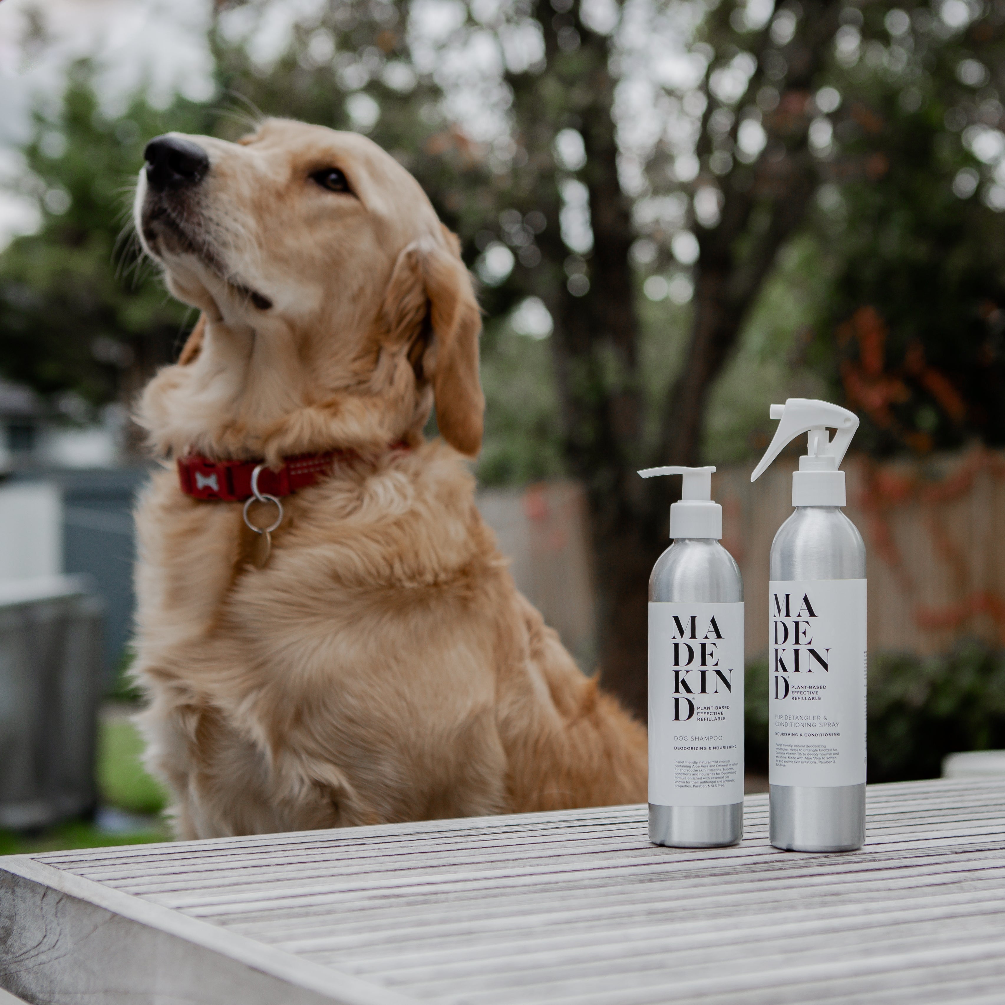 Natural Dog Fur Detangler & Conditioning Spray - Nourishing & Softening 225ml - REGN