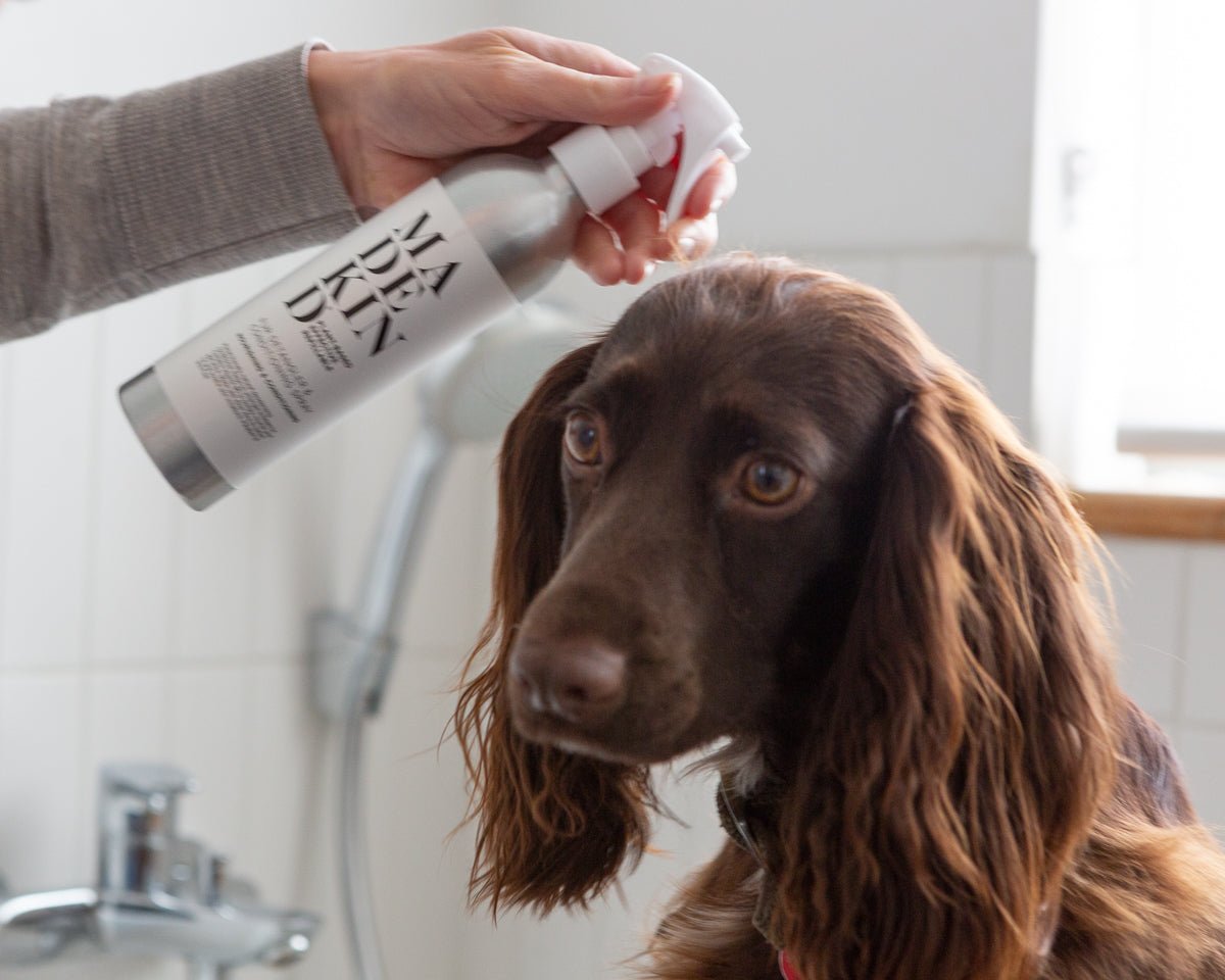 Natural Dog Fur Detangler & Conditioning Spray - Nourishing & Softening 225ml - REGN