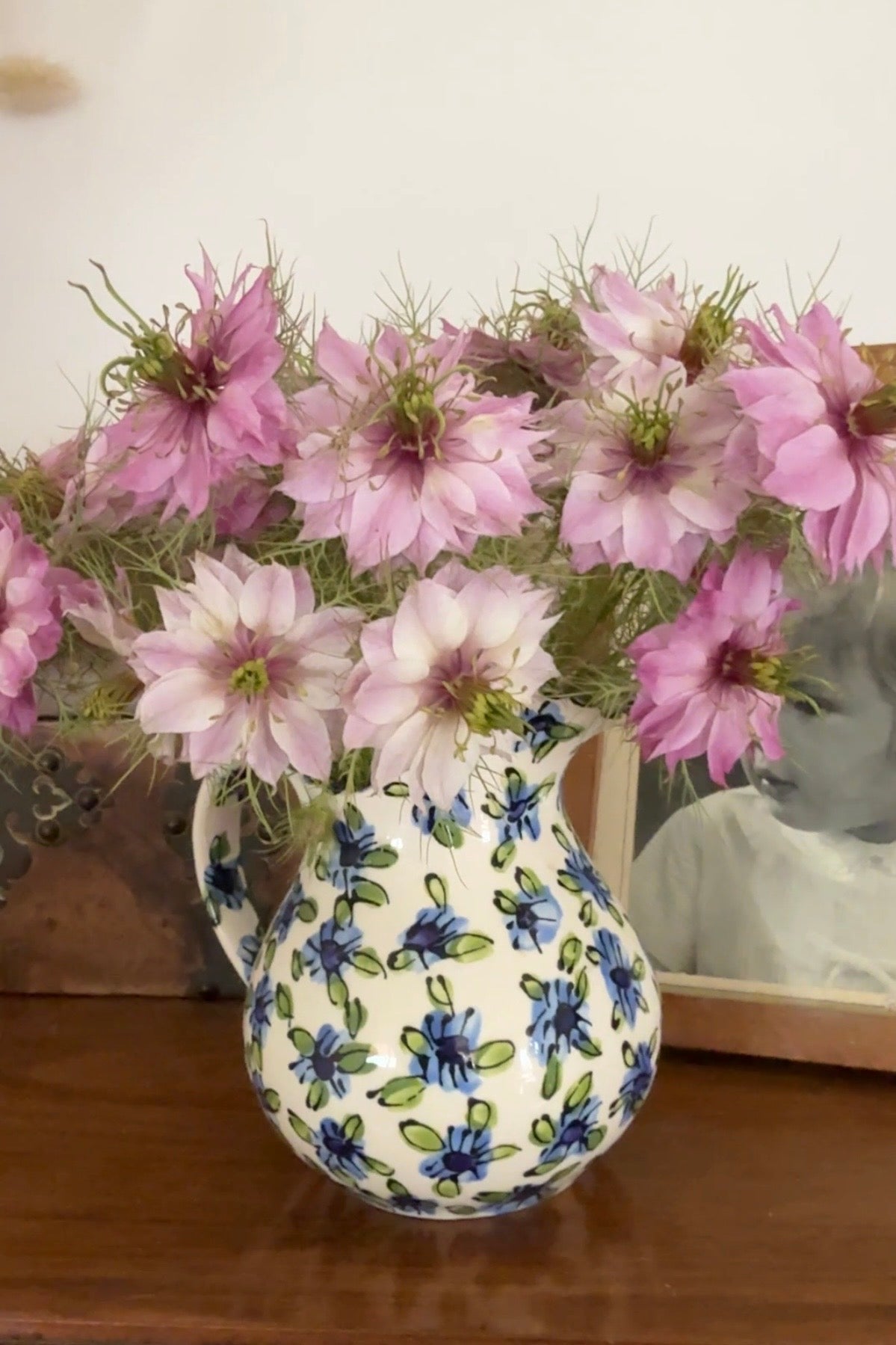 Nigella Mulberry Rose (Love-in-a-mist) - REGN