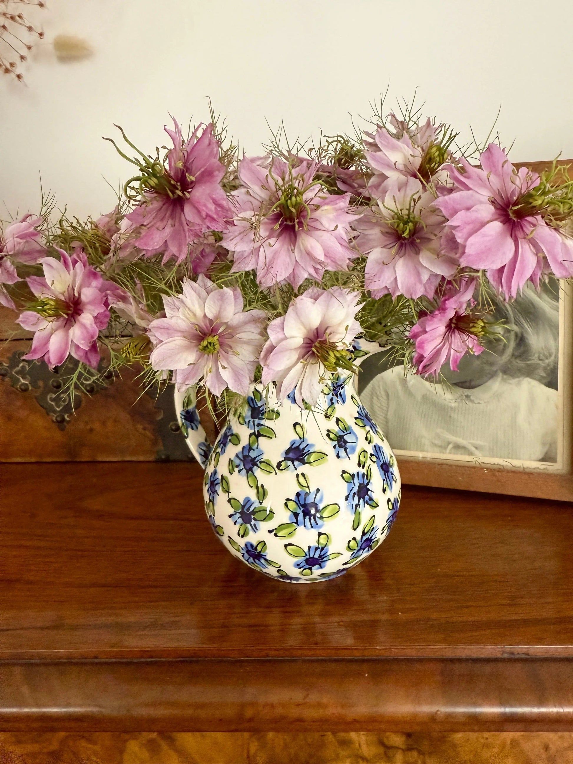 Nigella Mulberry Rose (Love-in-a-mist) - REGN