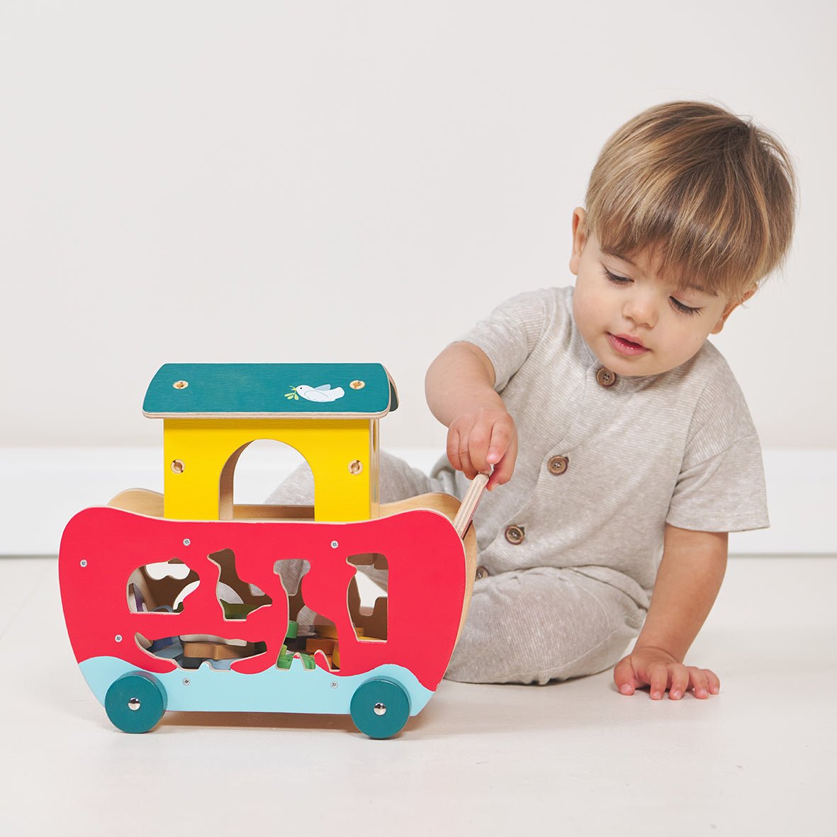 Noah's Shape Sorter Ark - REGN