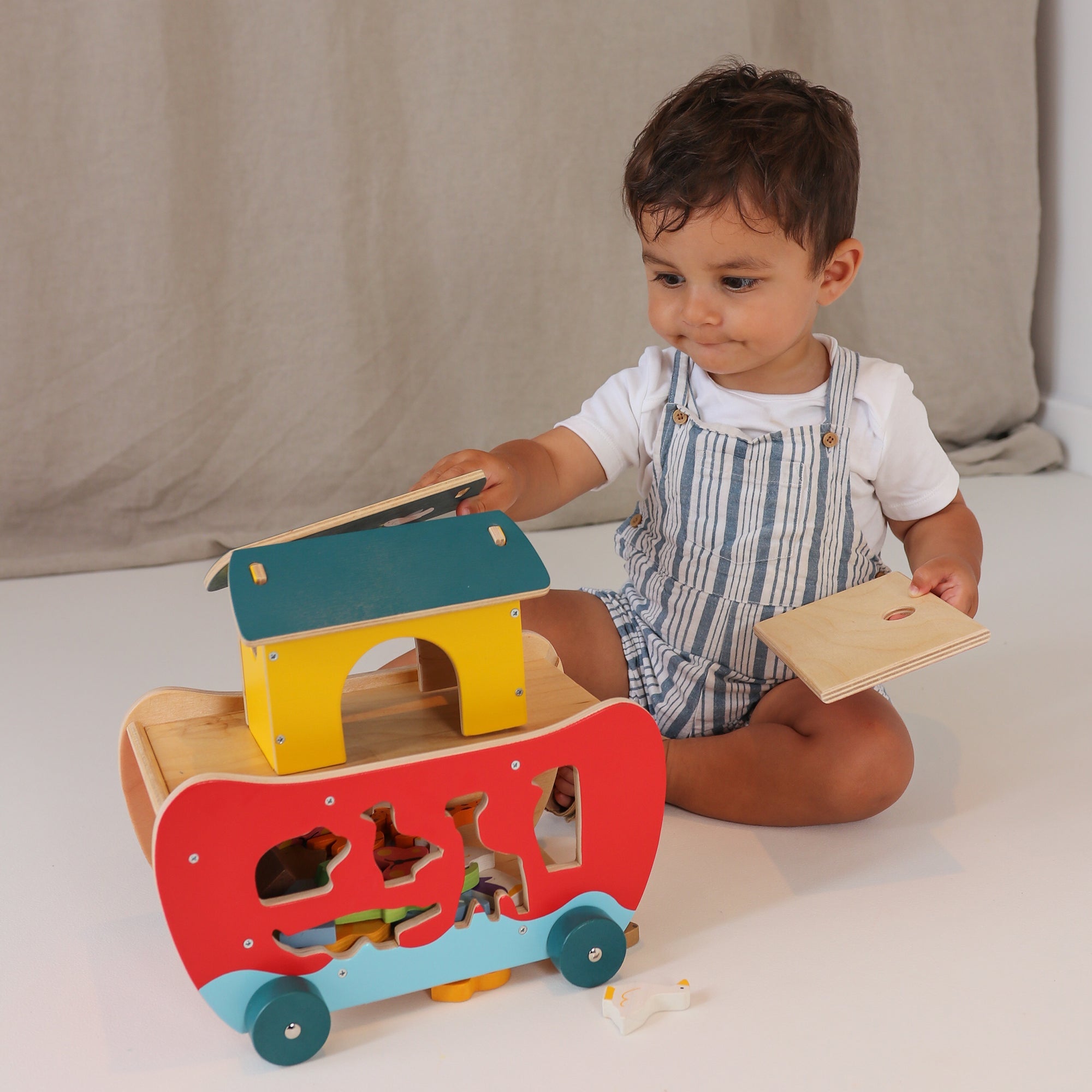 Noah's Shape Sorter Ark - REGN
