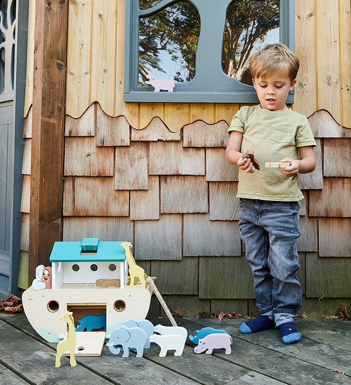 Noah's Wooden Ark - REGN