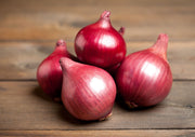 Onion Red Baron - REGN