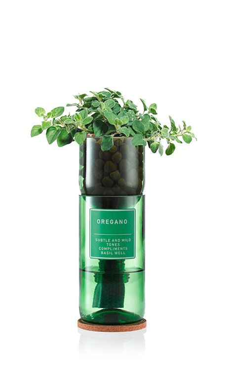 Oregano - REGN