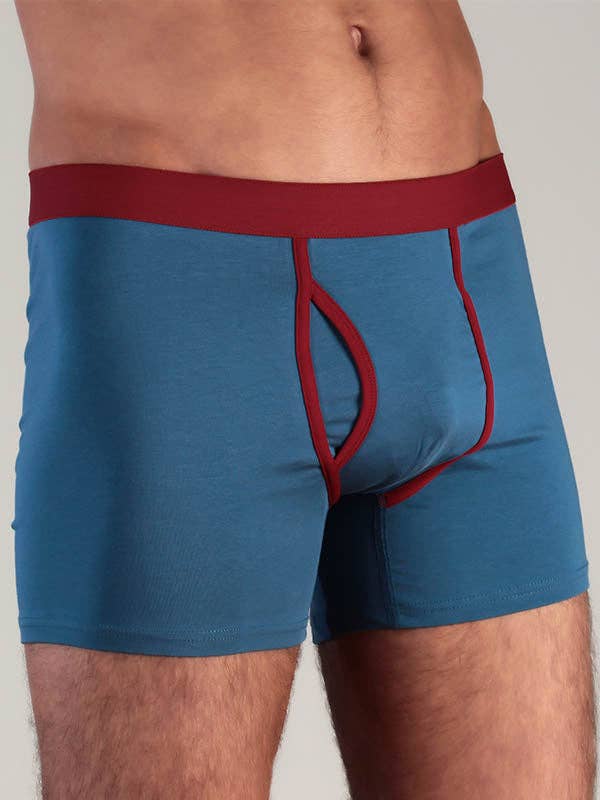 Organic Cotton Boxer Shorts: Mens - REGN